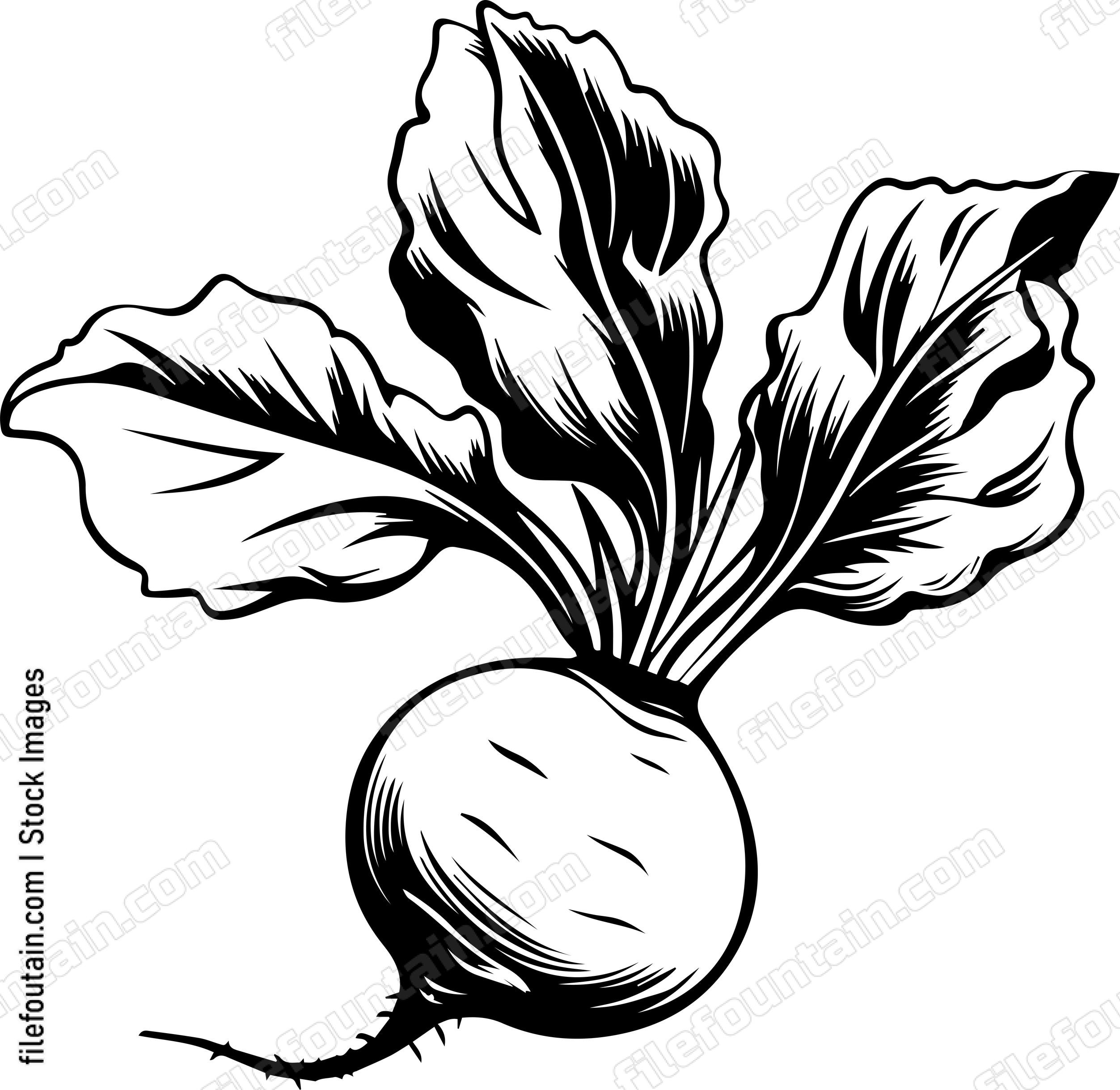Beet