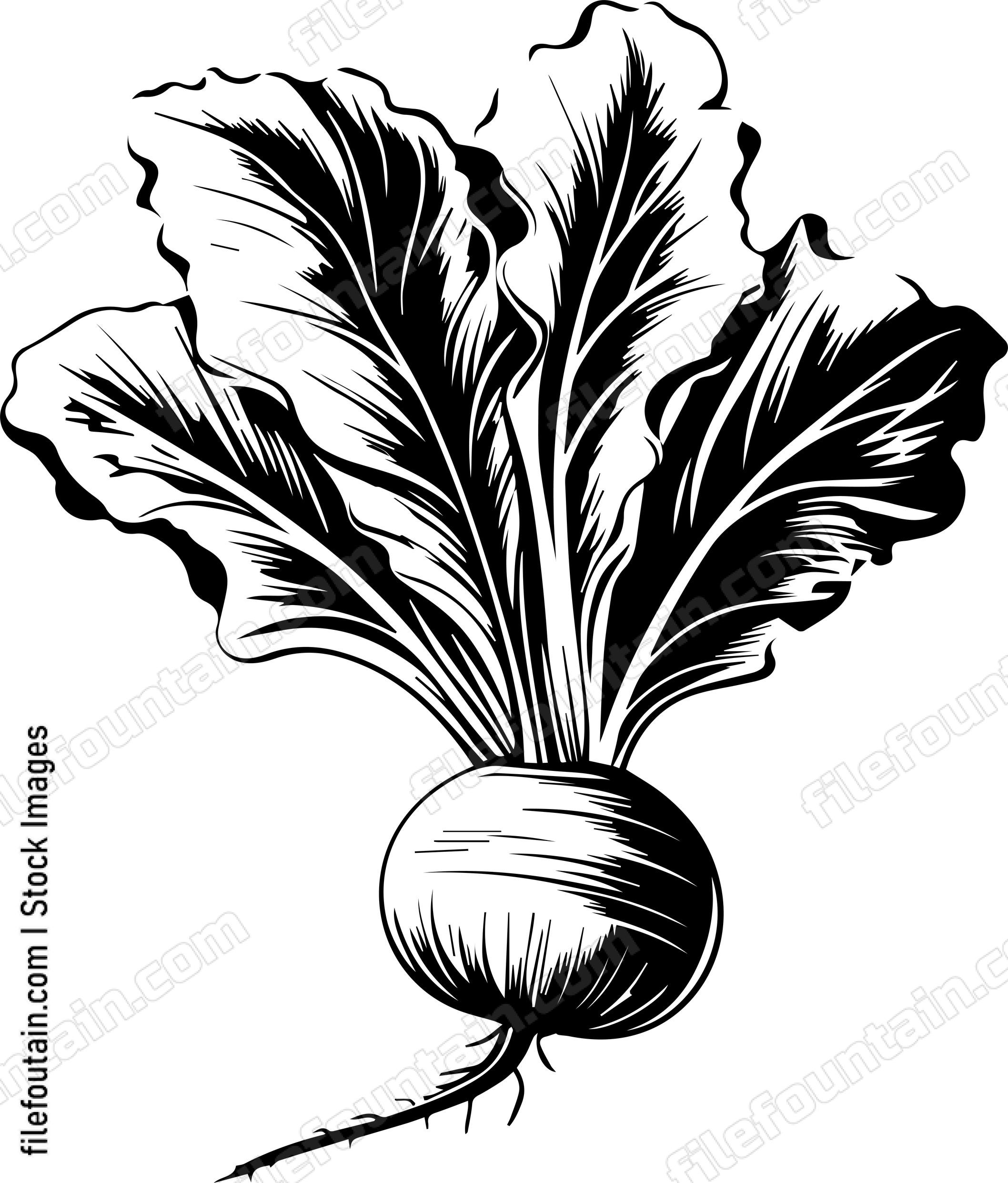 Beet