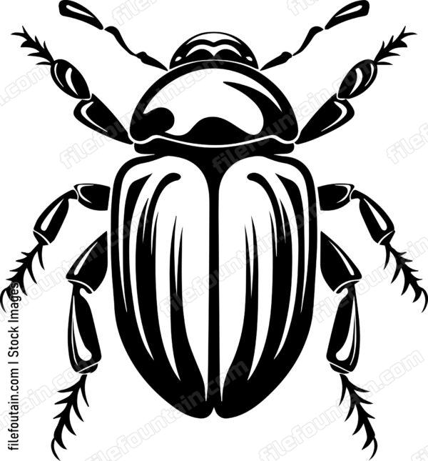 Beetle