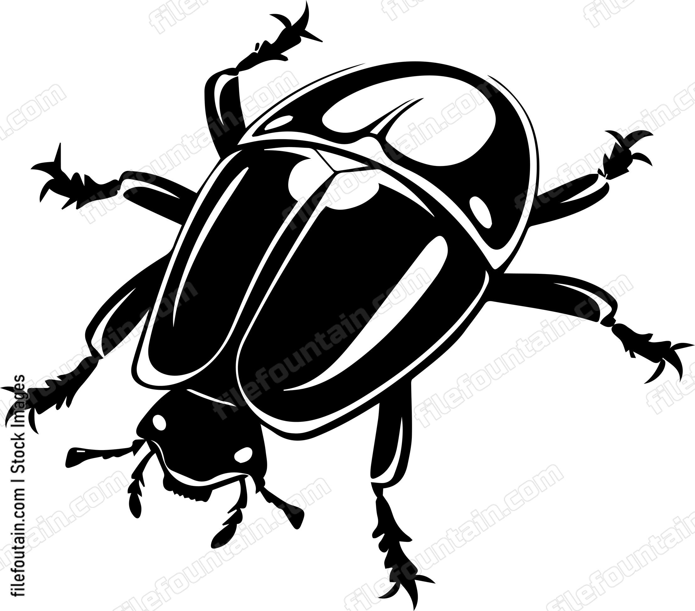 Beetle
