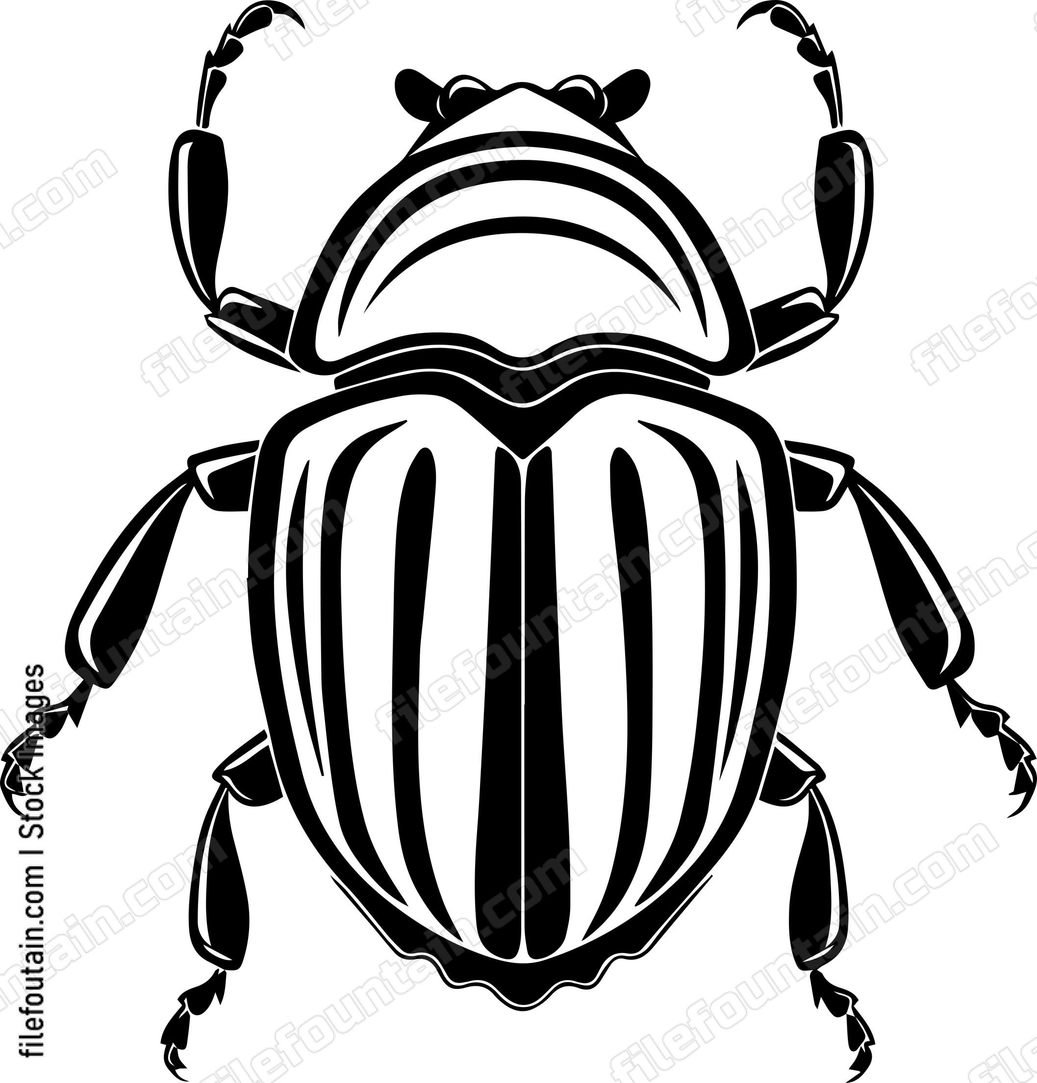 Beetle