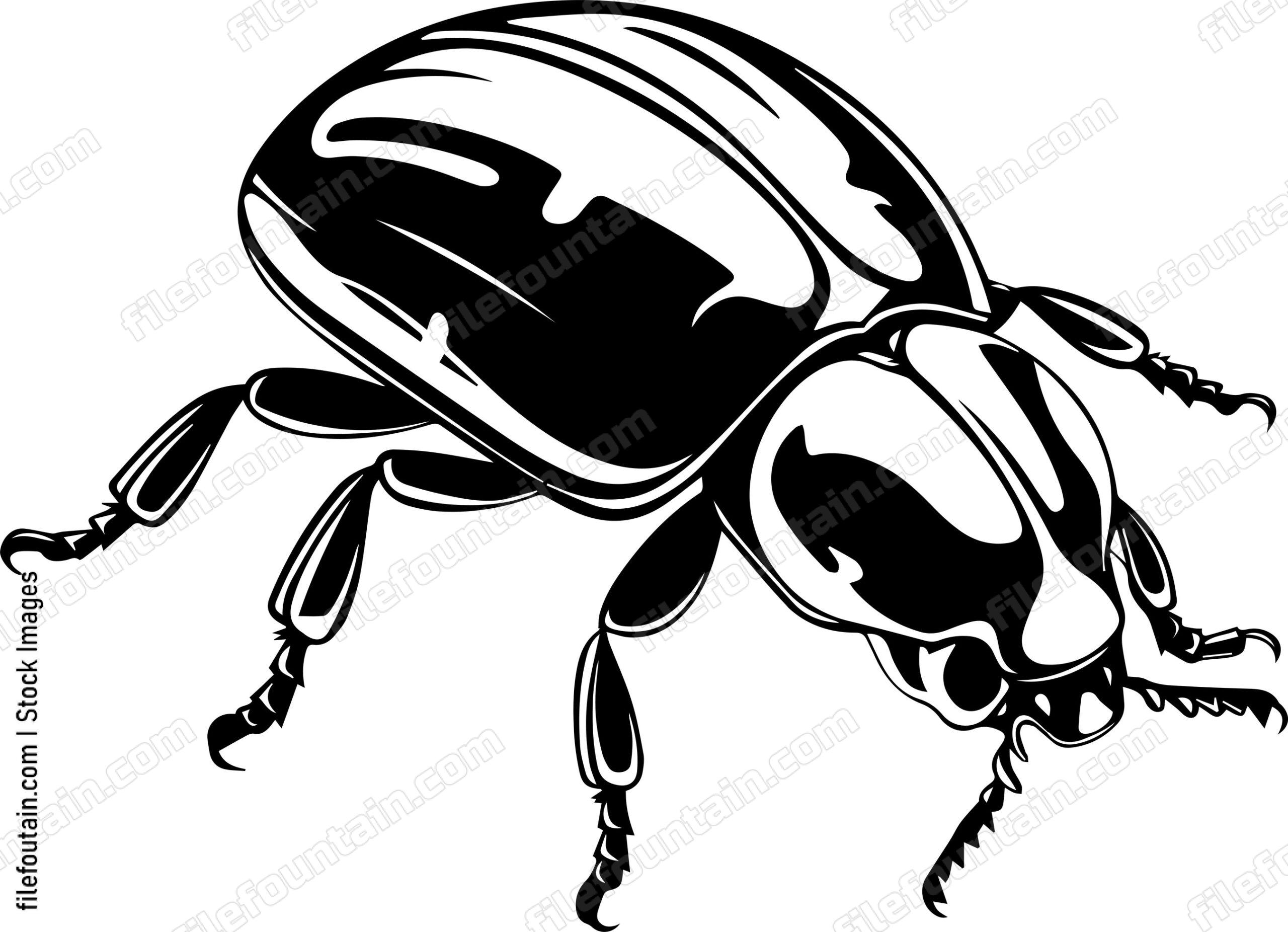 Beetle Trichodes