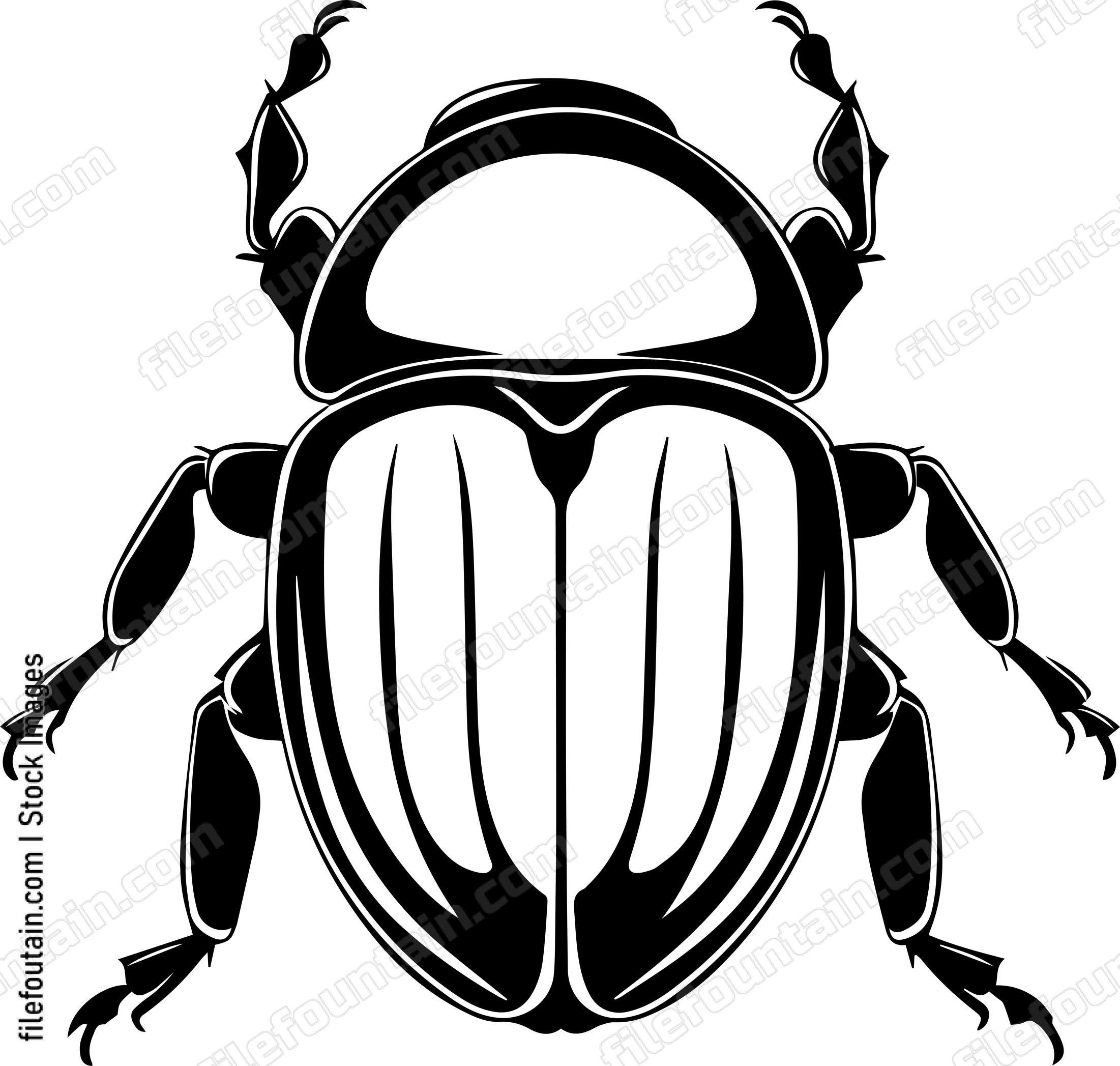 Beetle Trichodes
