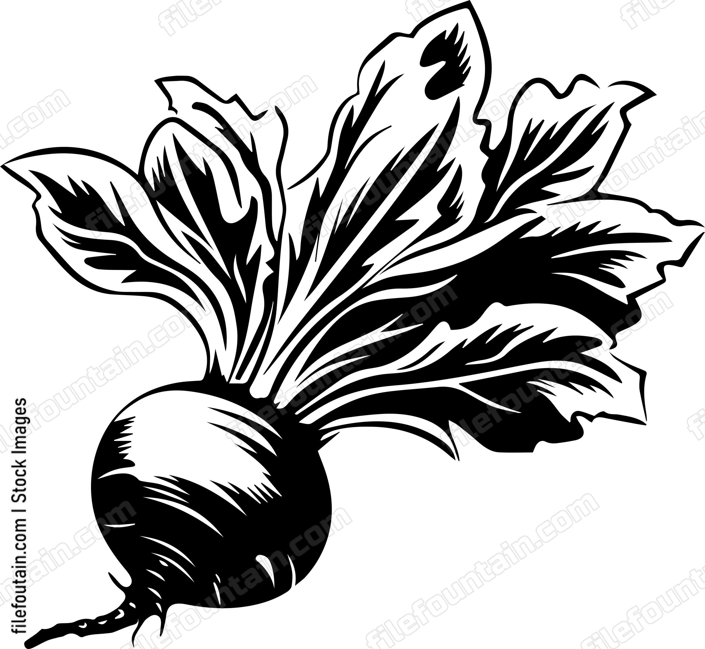Beetroot