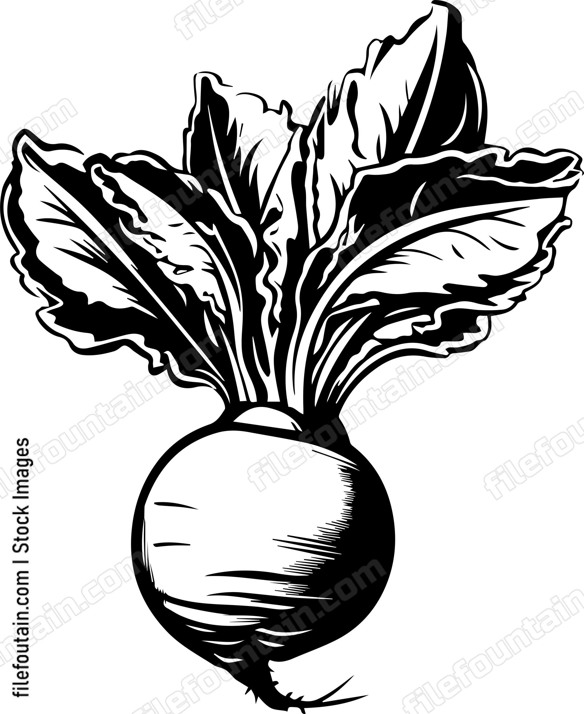 Beetroot