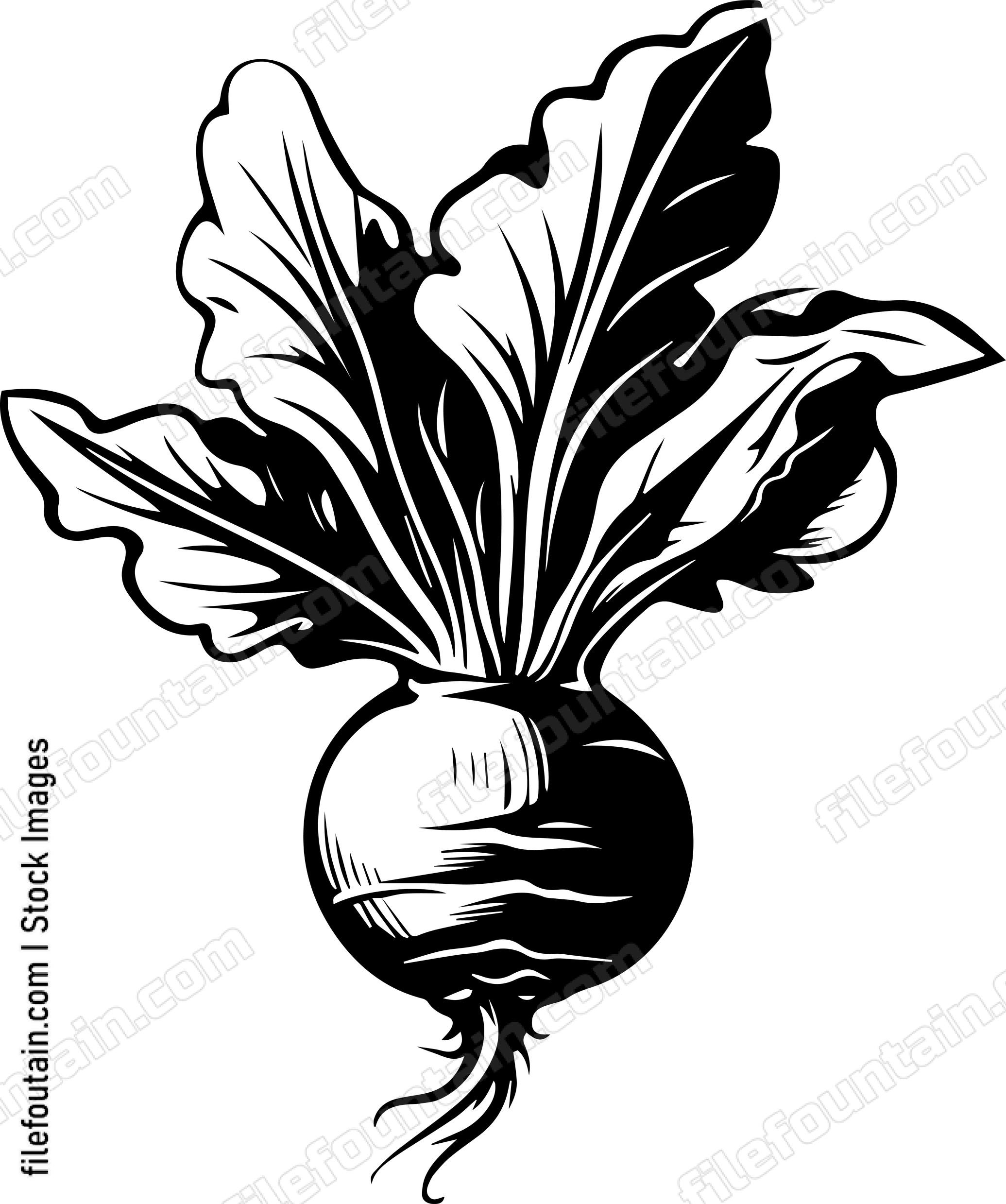 Beetroot