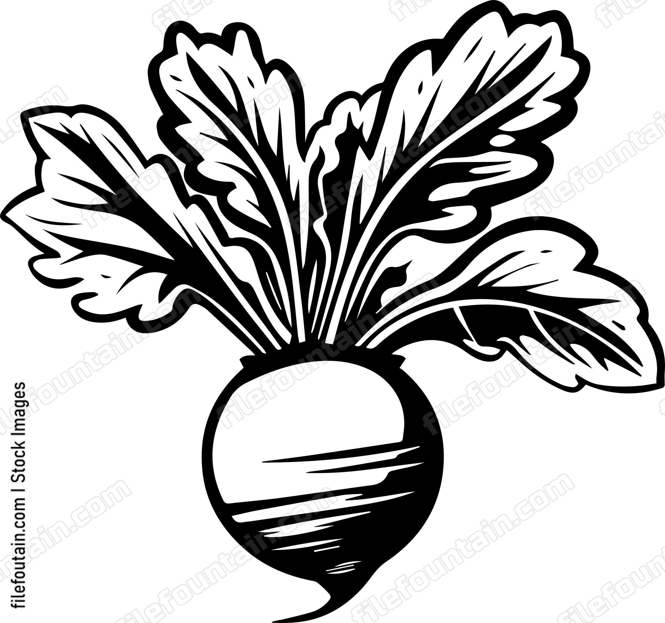 Beetroot