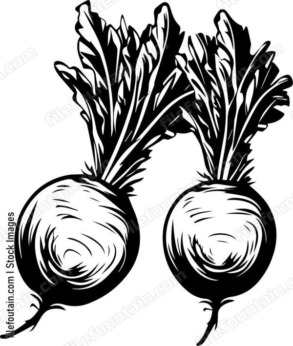 Beets