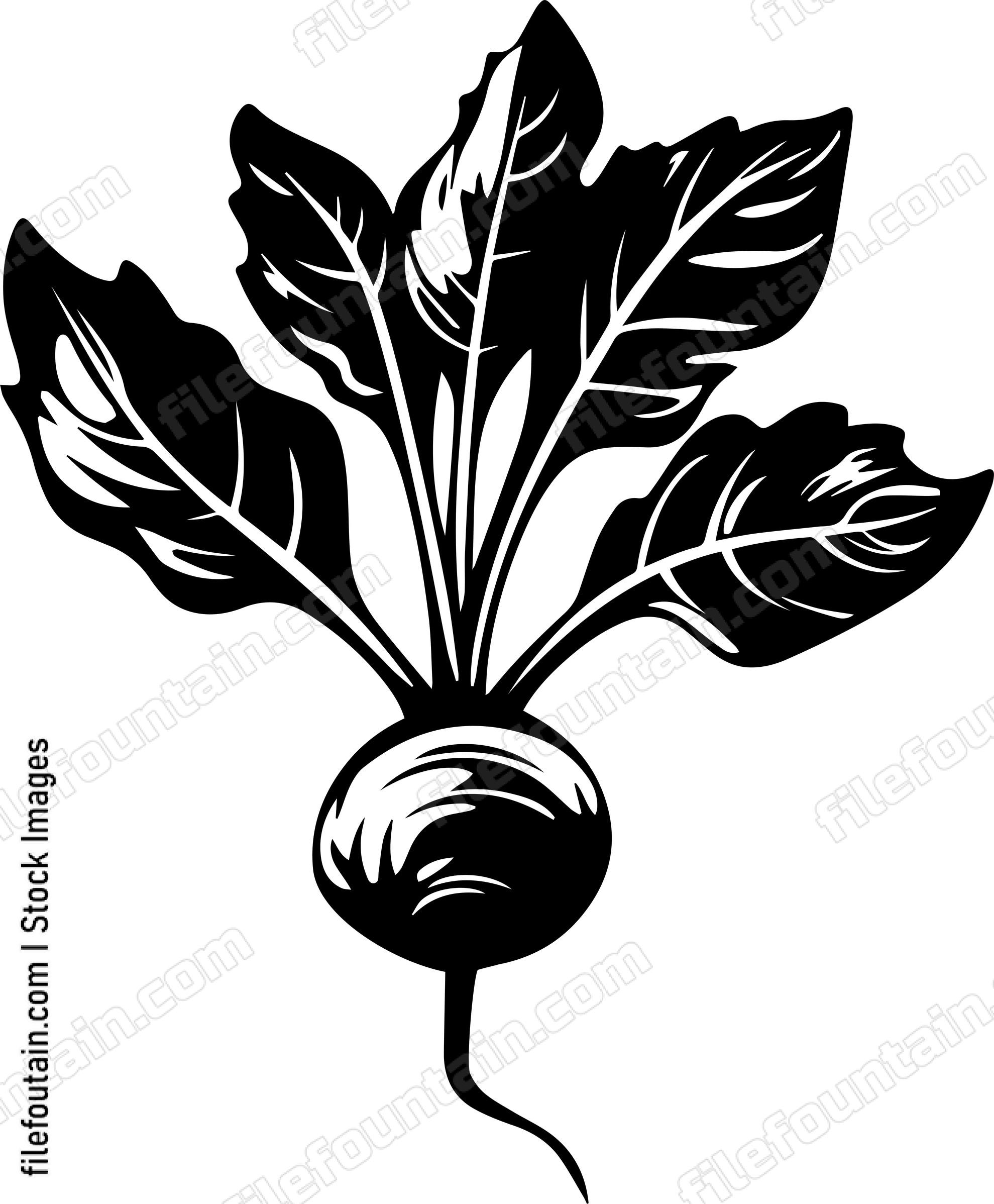 Beets