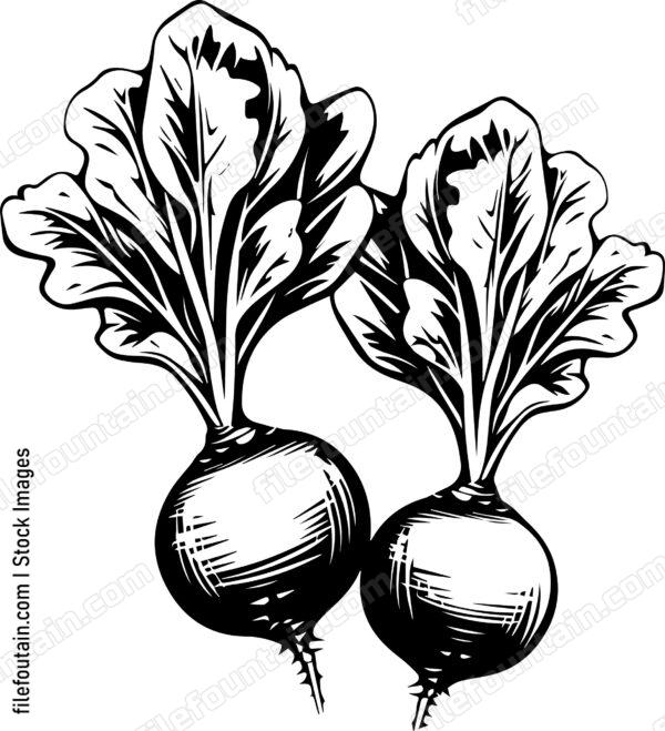 Beets