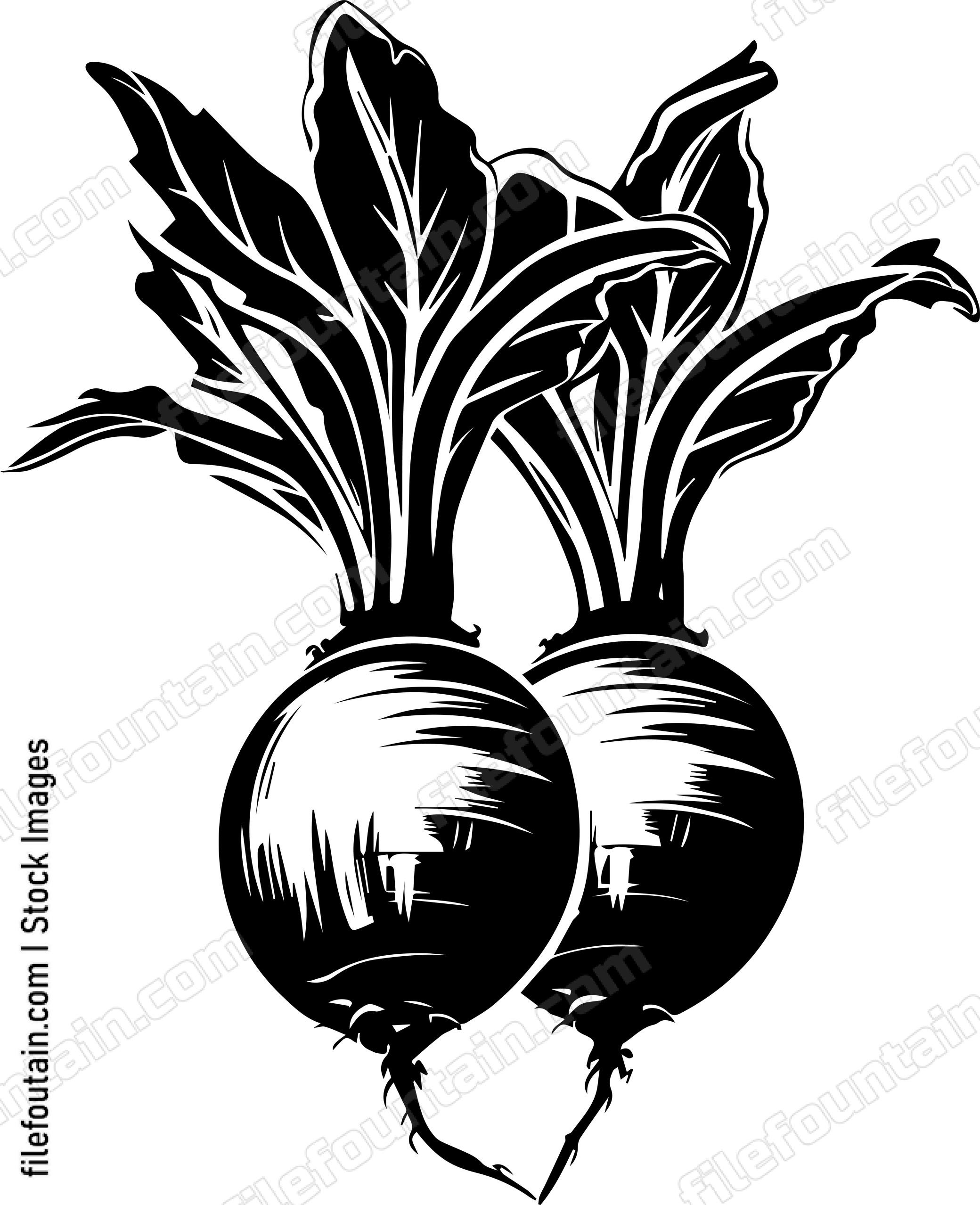 Beets