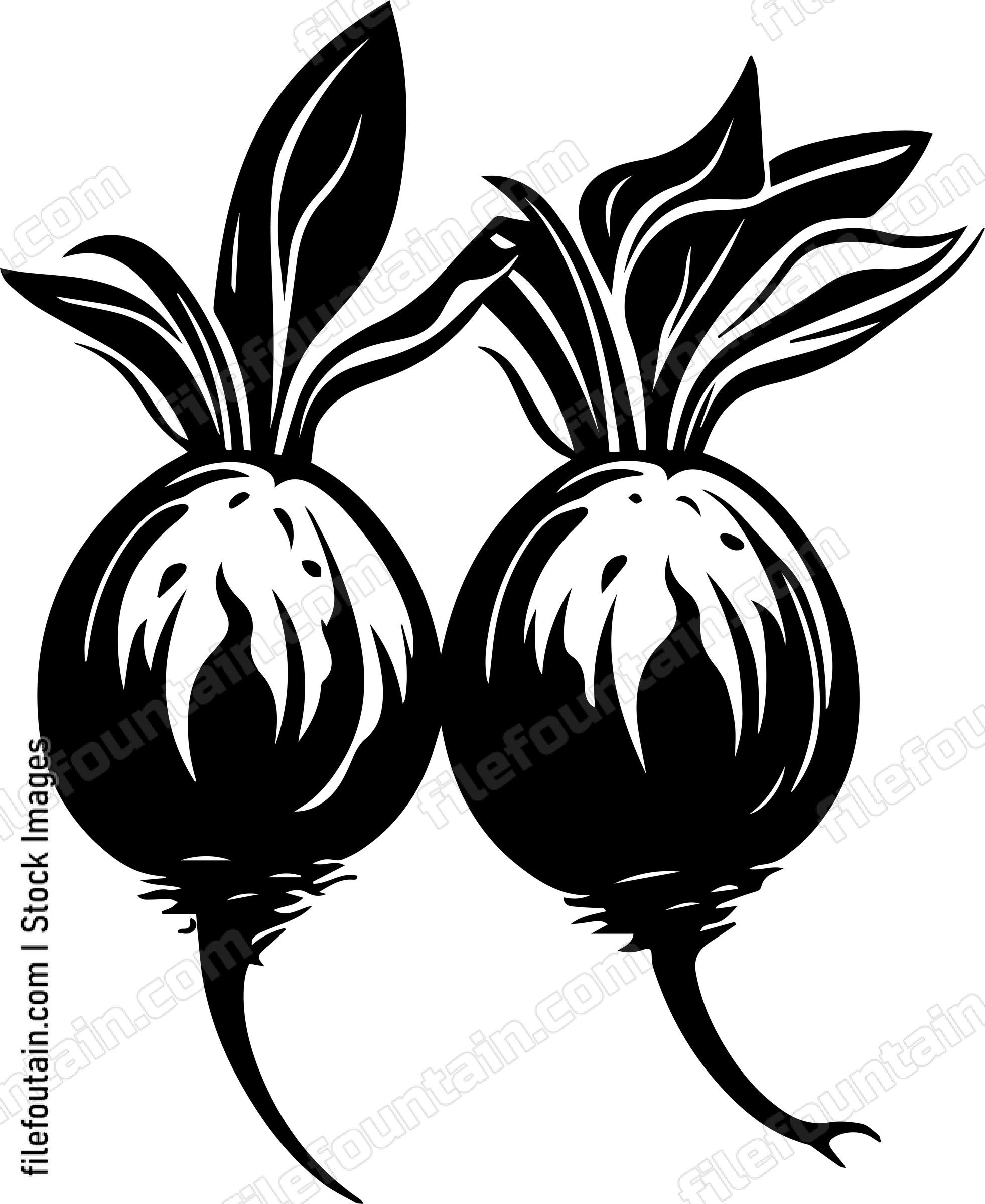 Beets