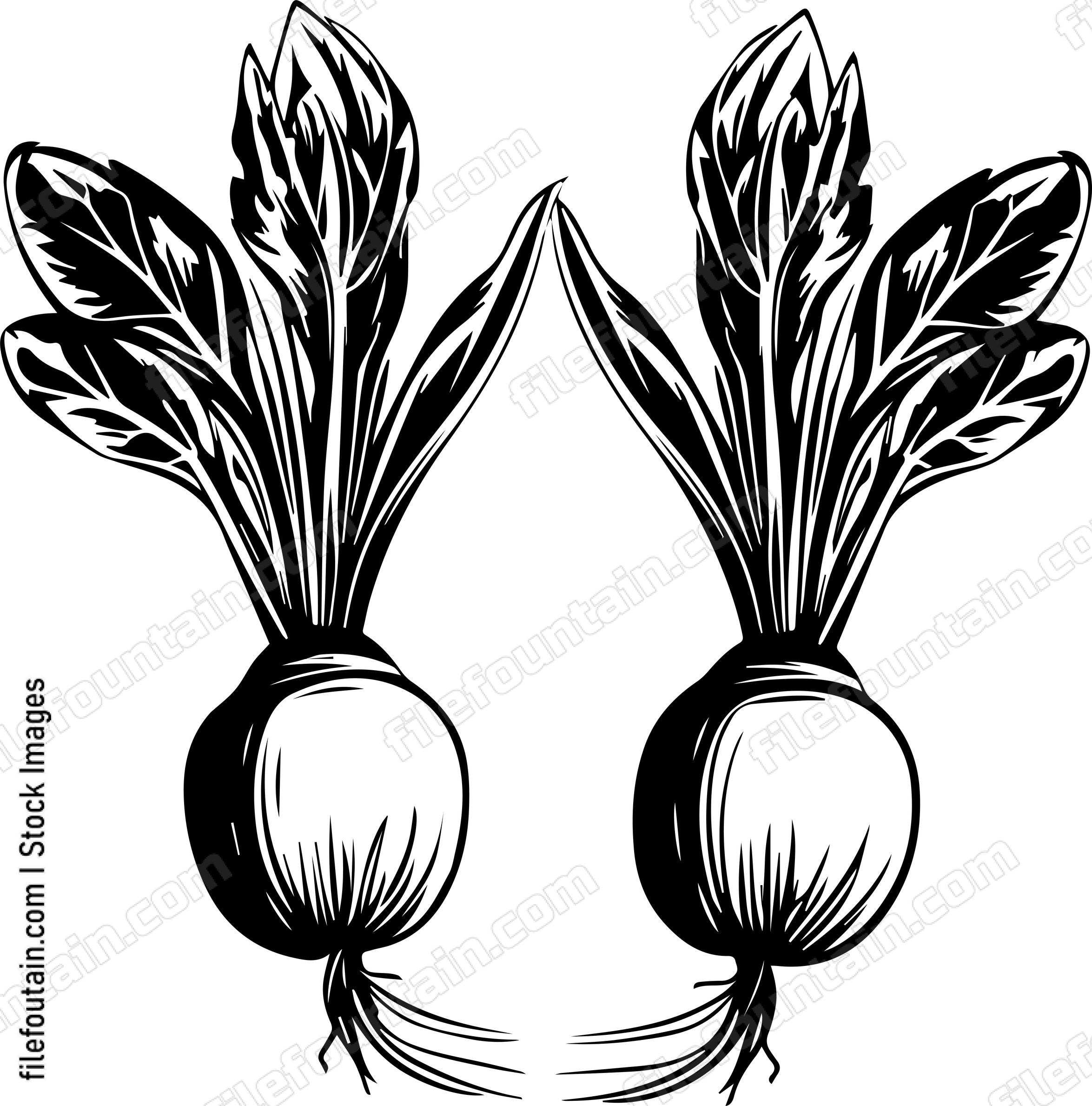 Beets