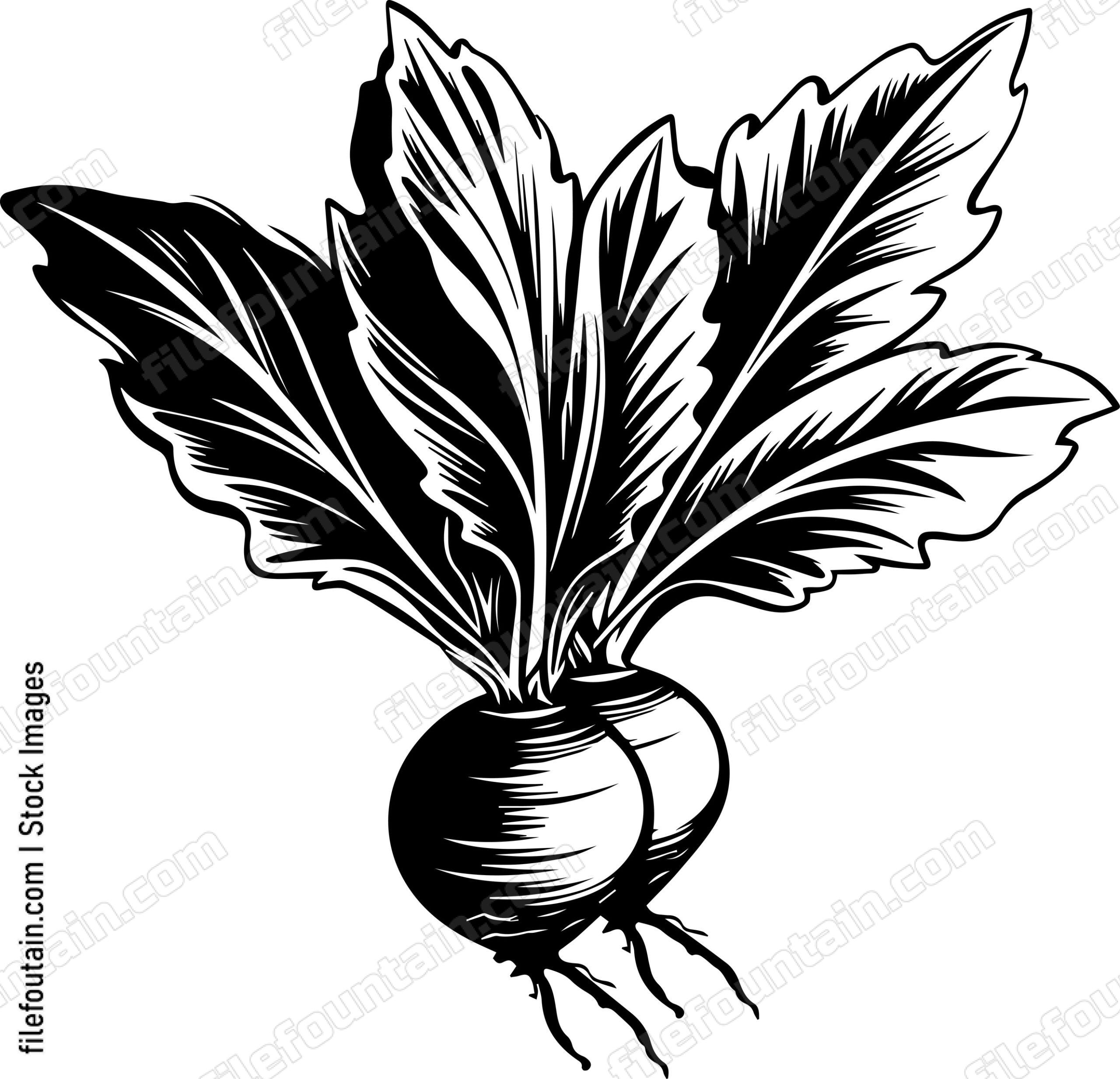 Beets