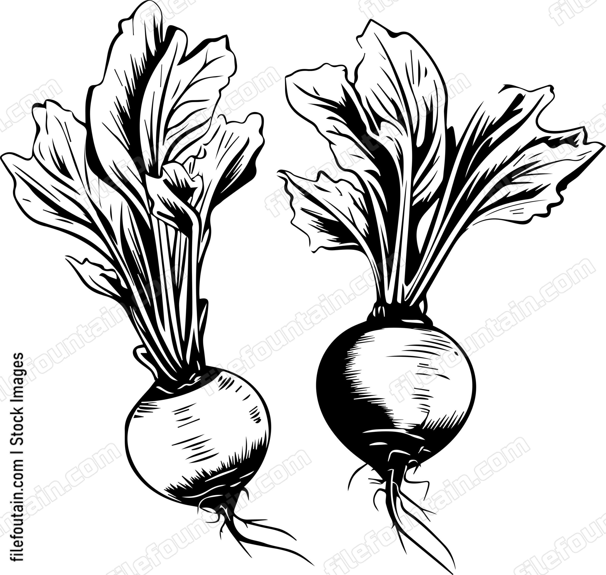 Beets