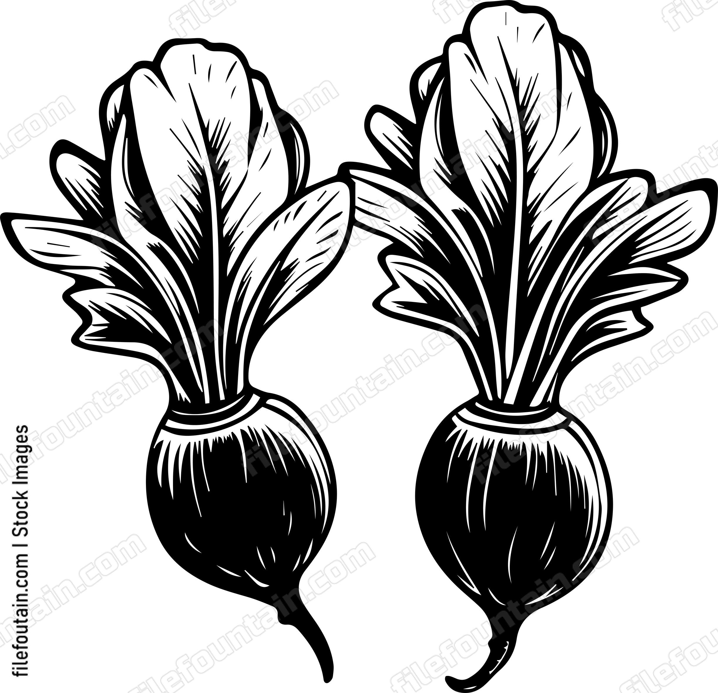 Beets