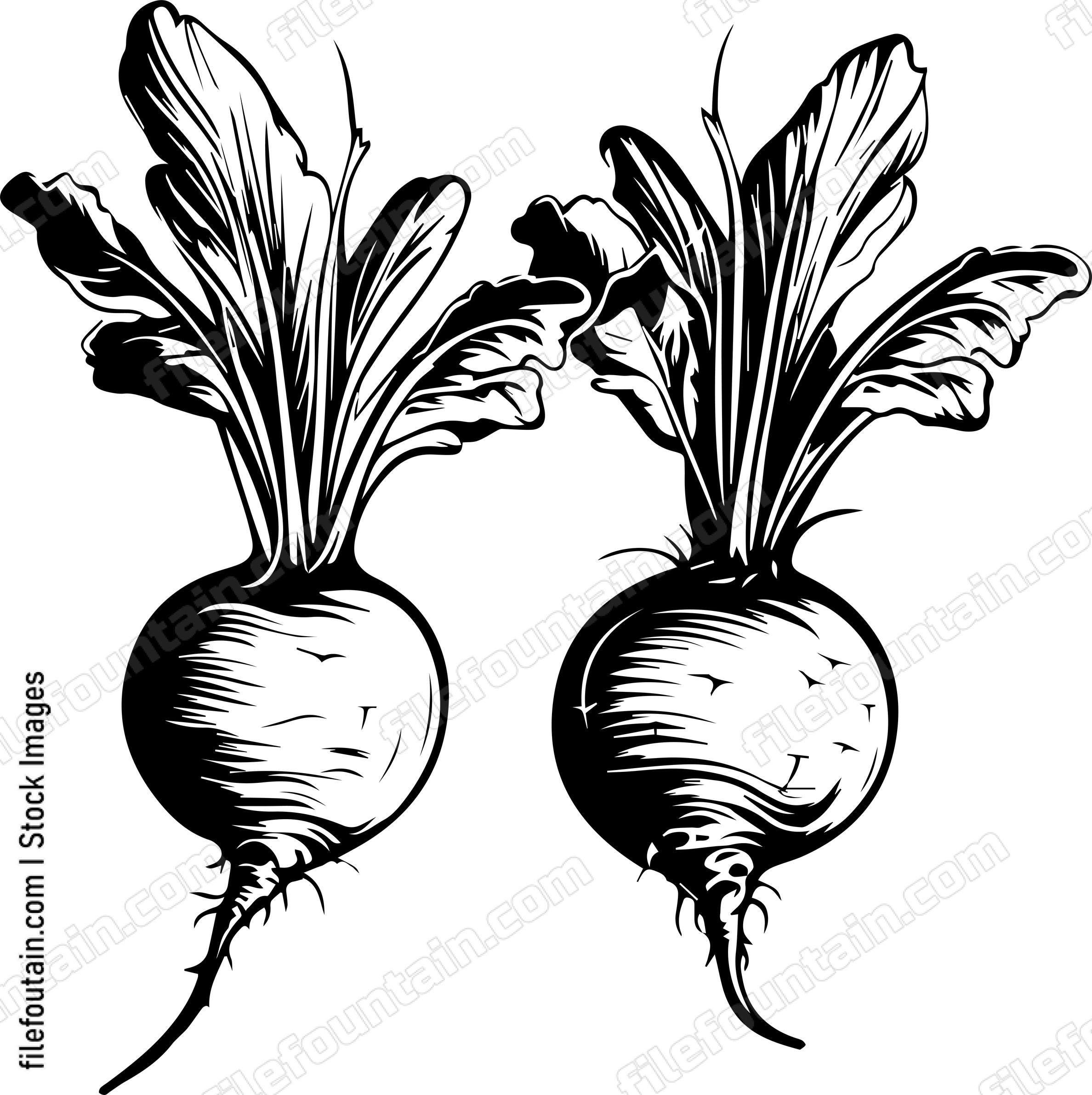Beets