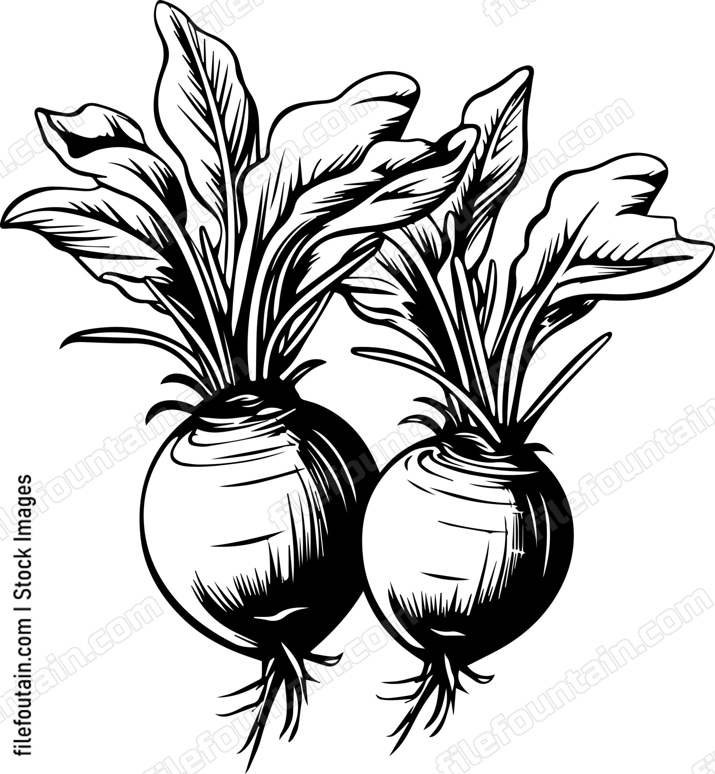 Beets