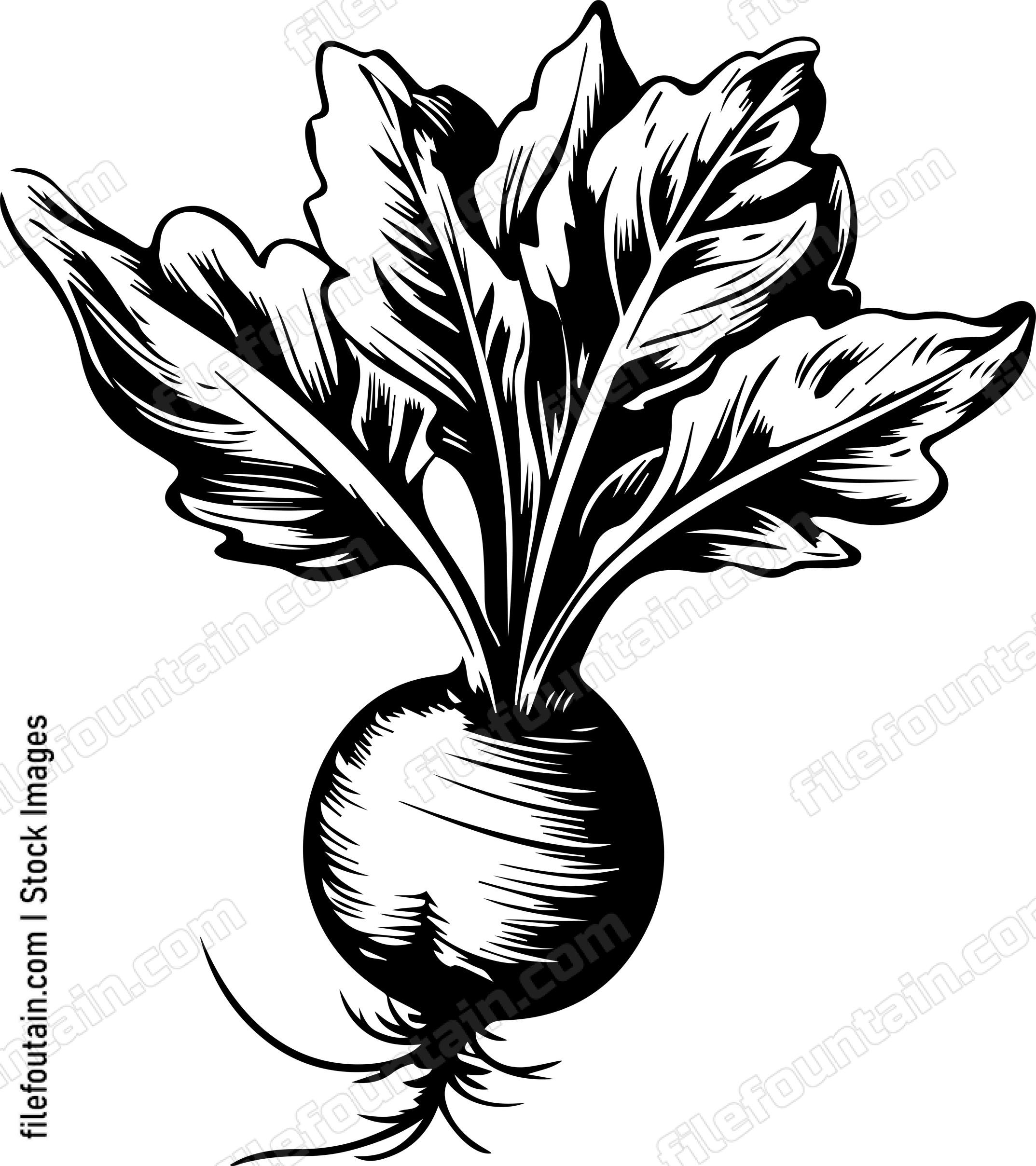 Beets