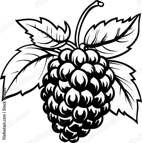 Berries Fruits