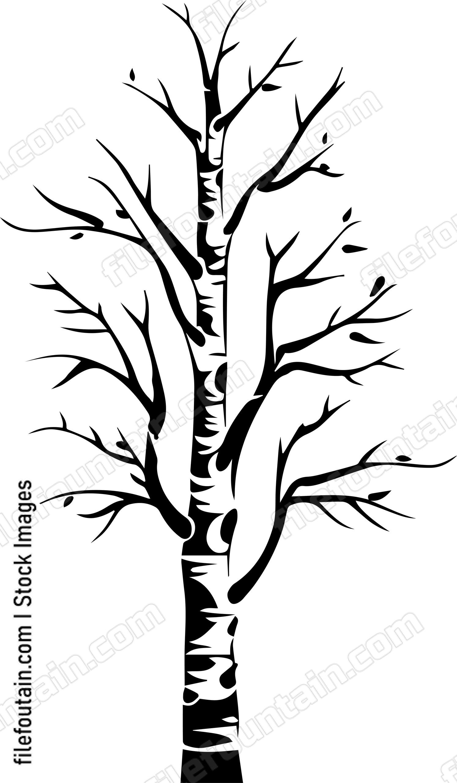 Birch Tree
