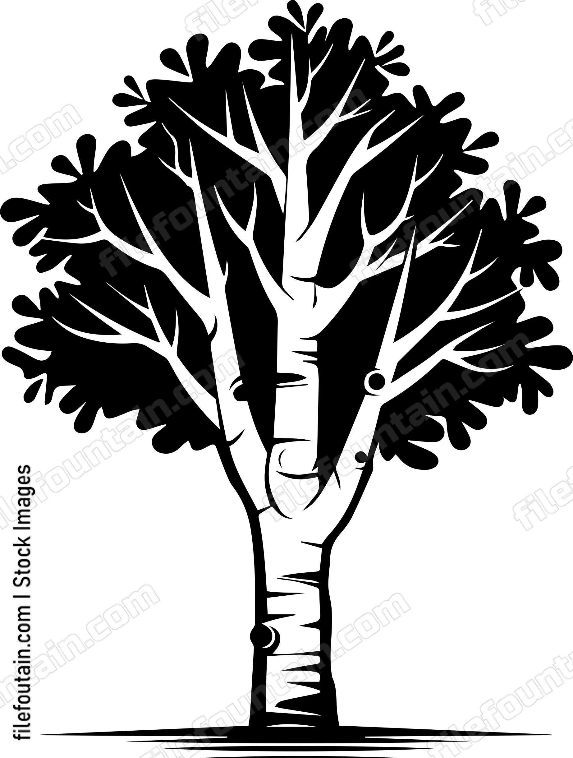 Birch Tree