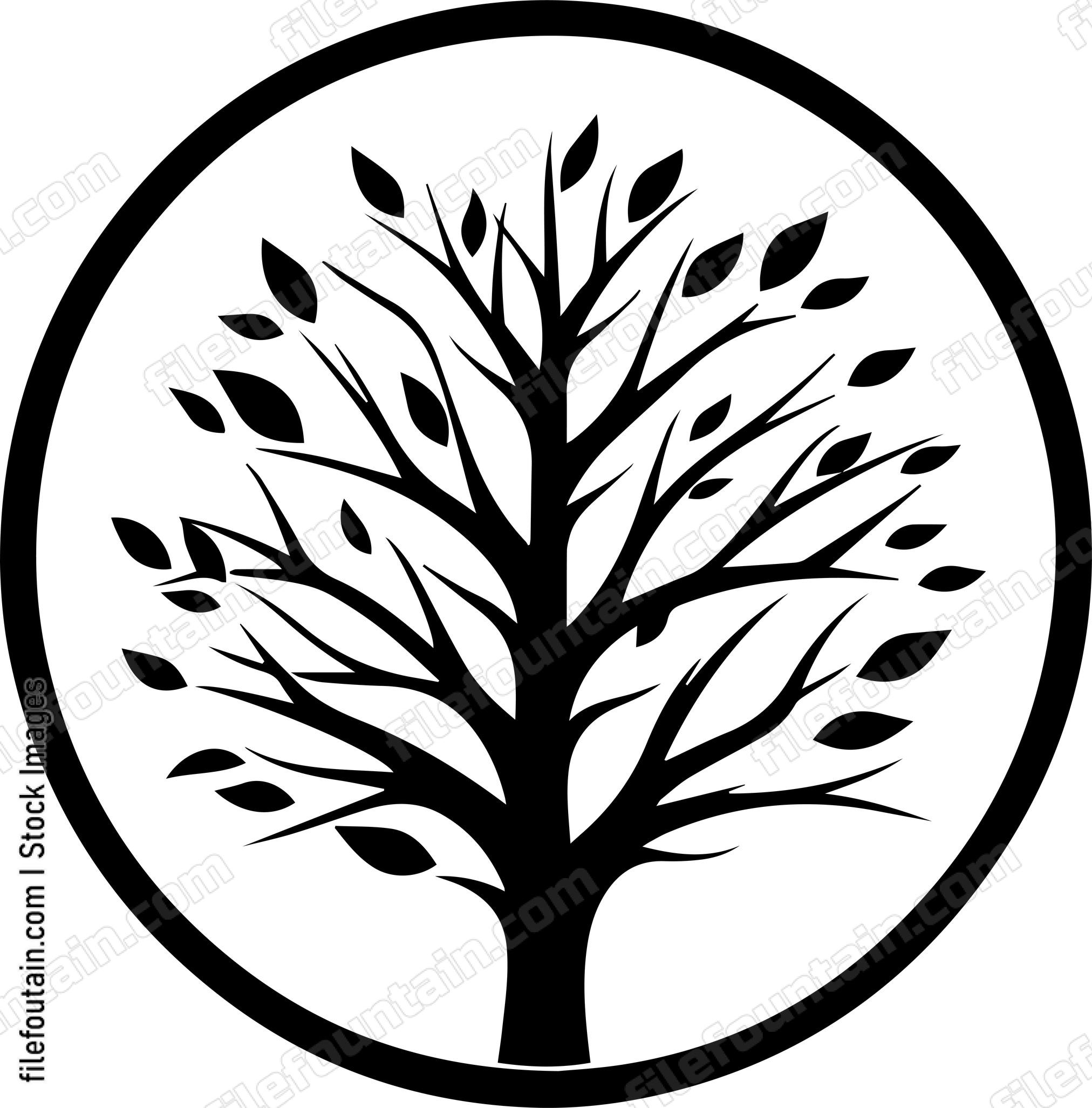 Birch Tree