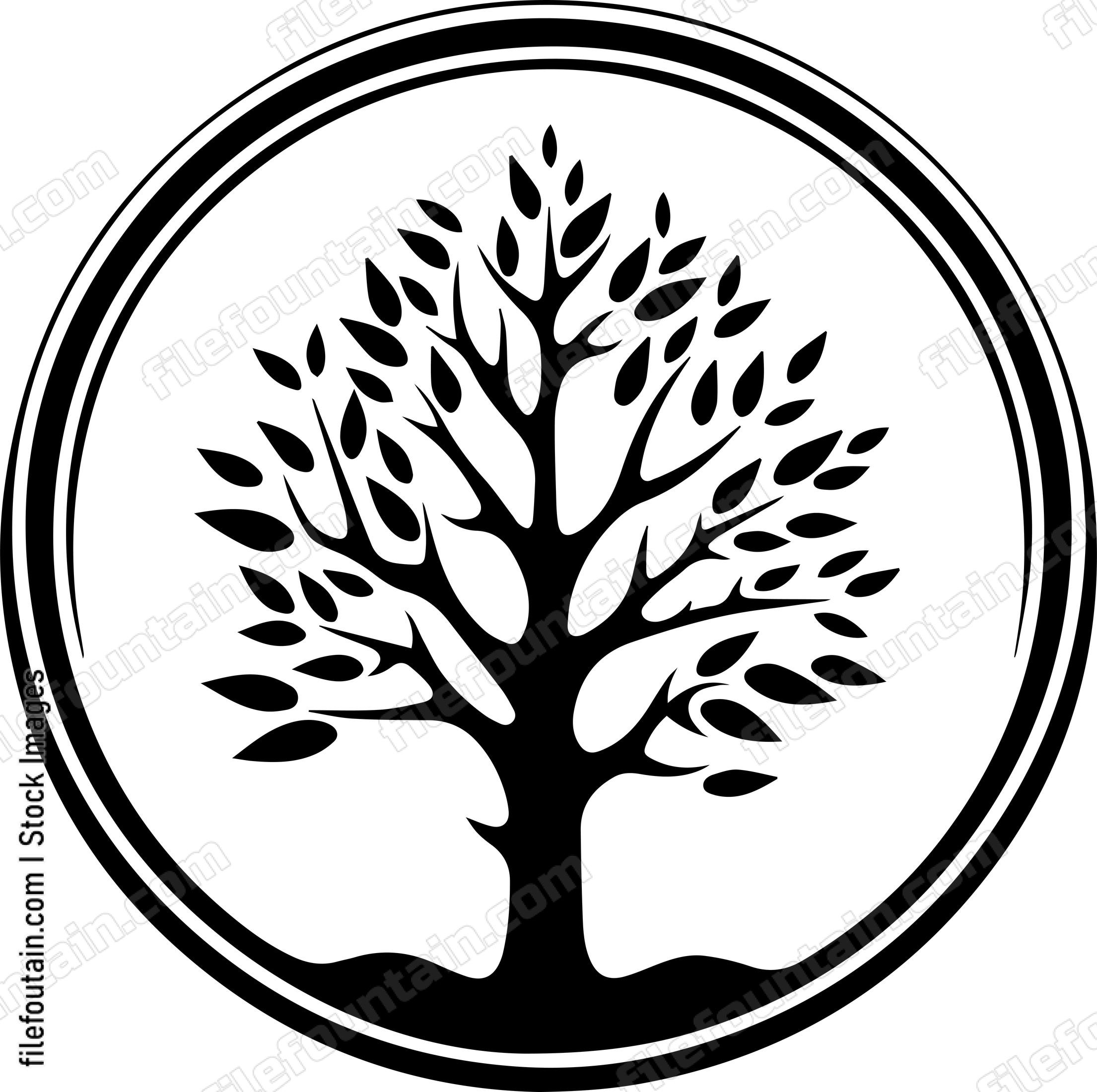 Birch Tree