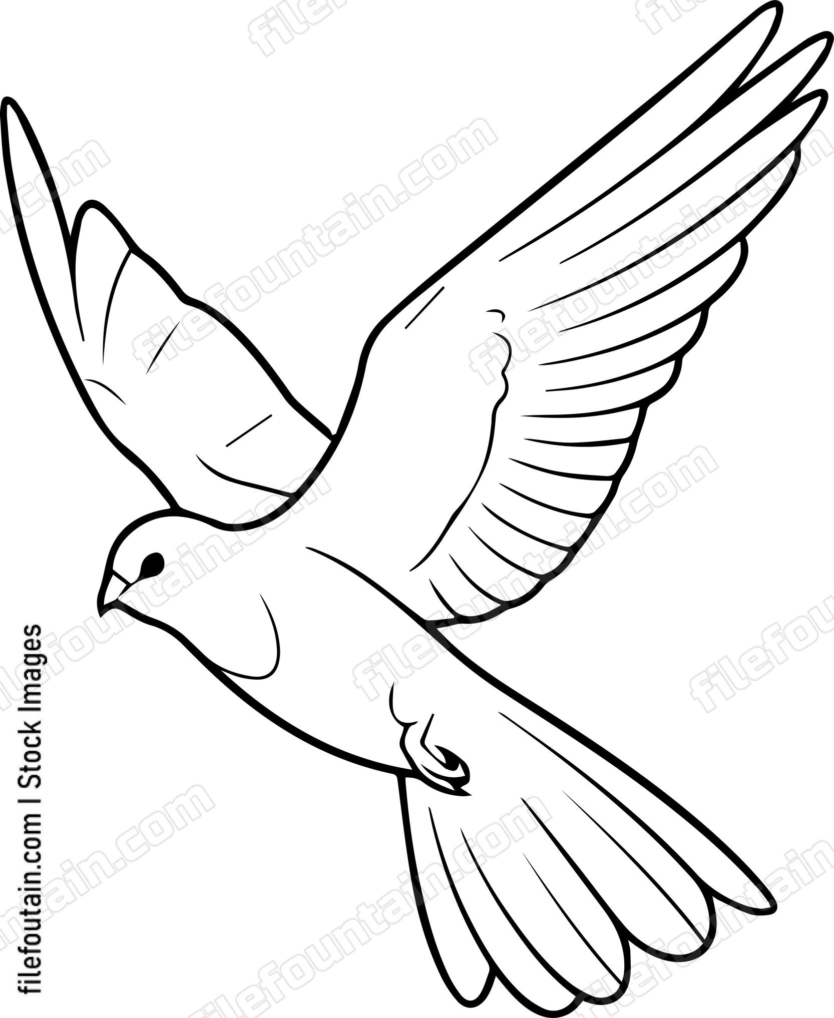 bird Flying