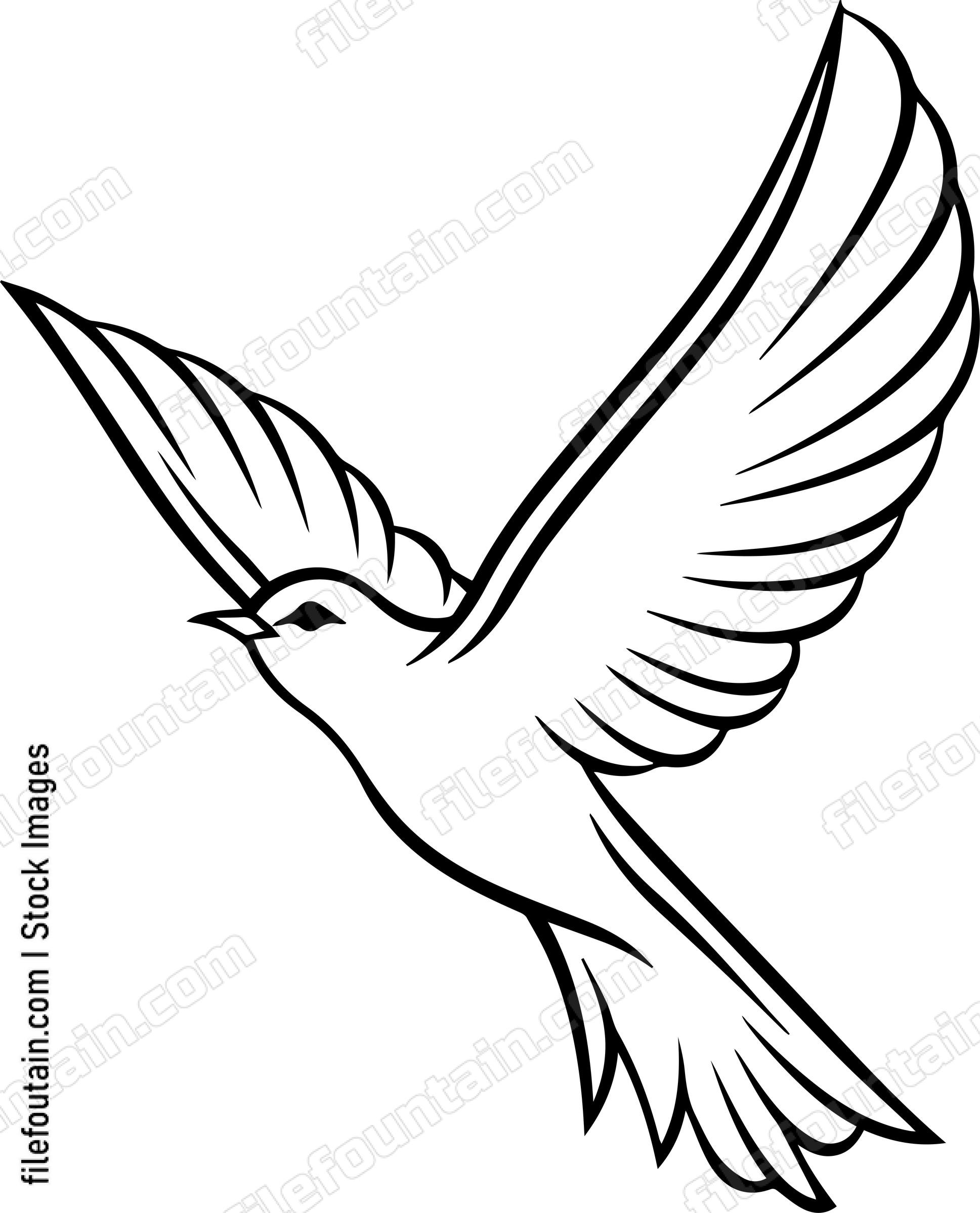 bird Flying