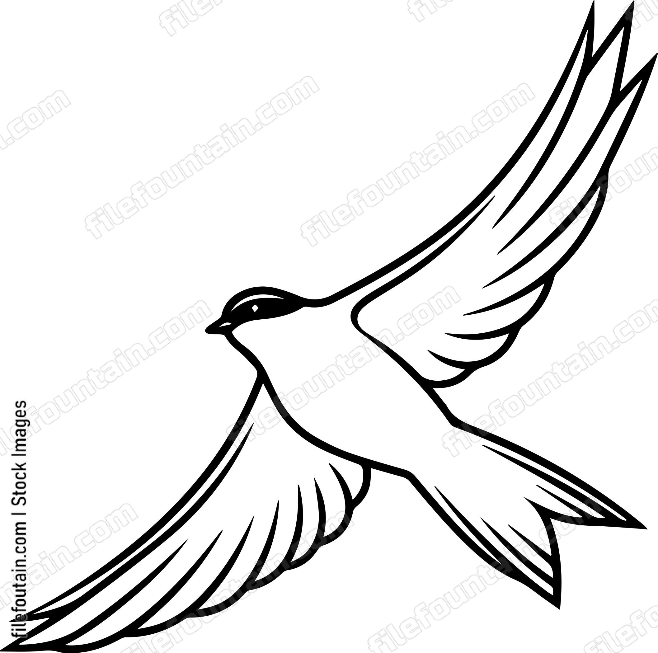 bird Flying
