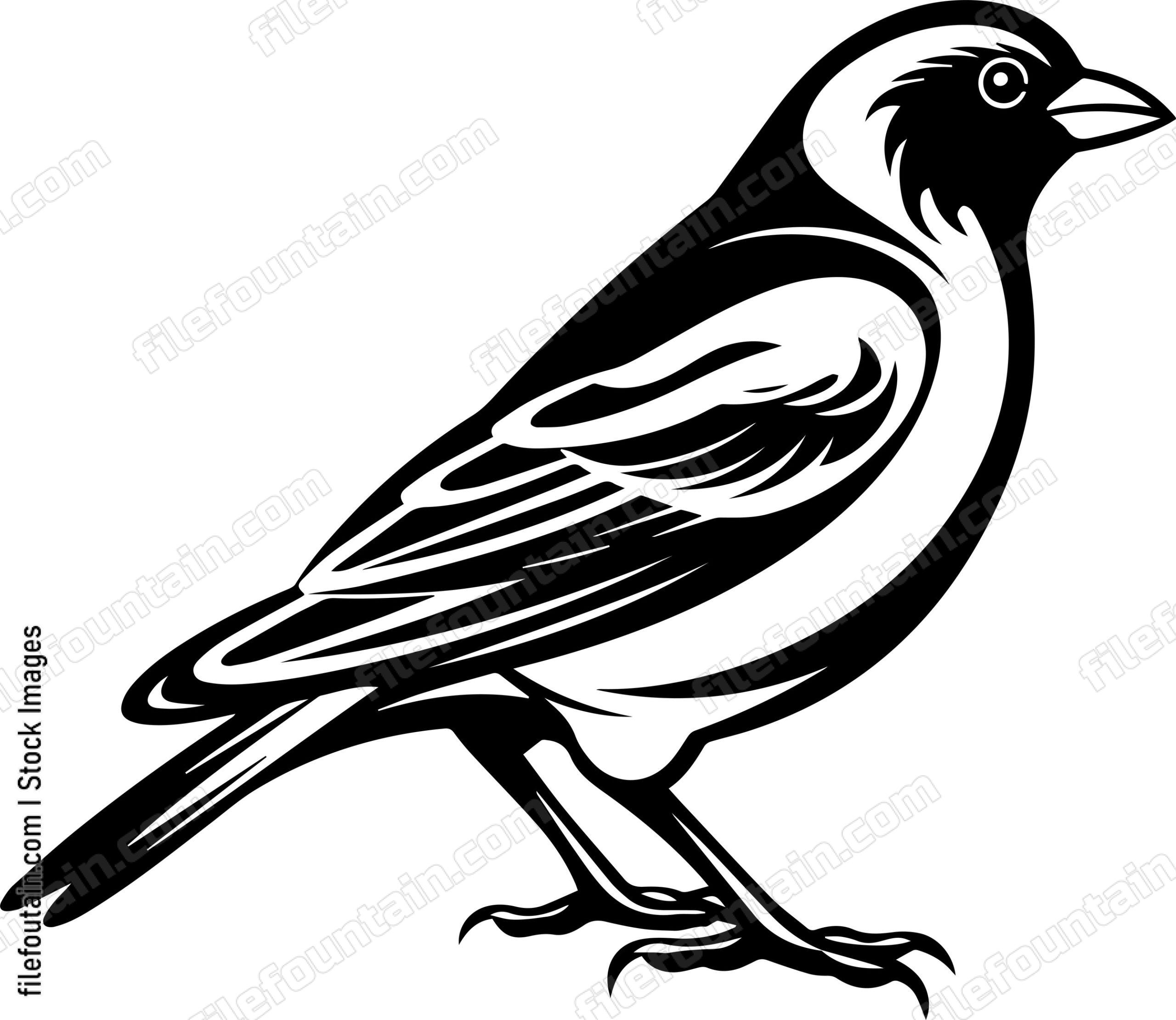 Bird Standing