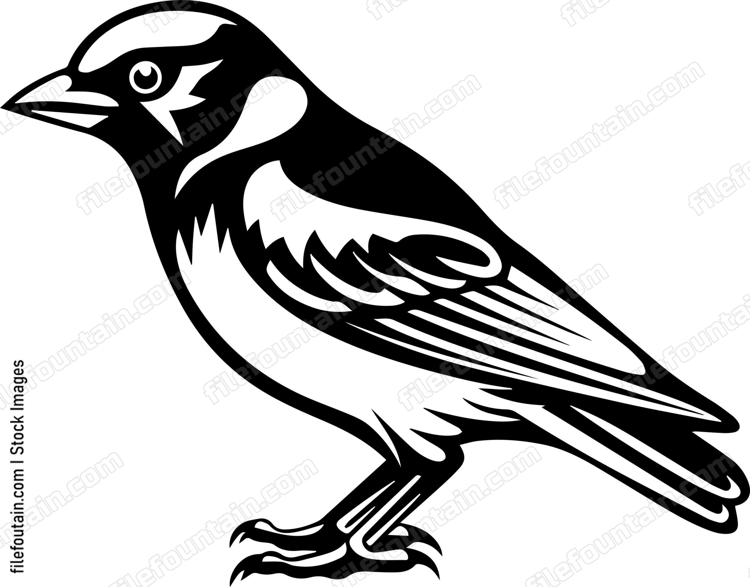 Bird Standing