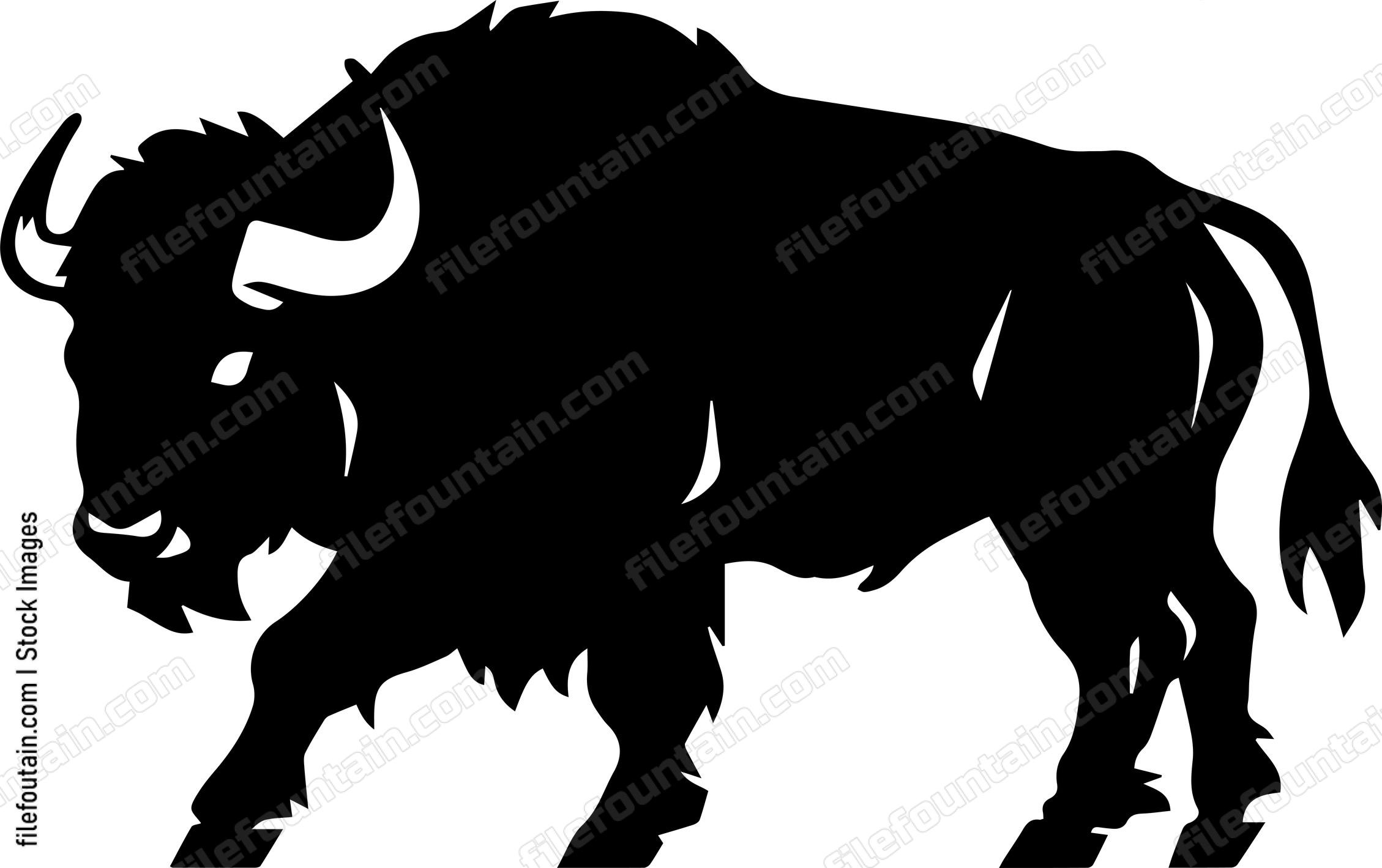Bison