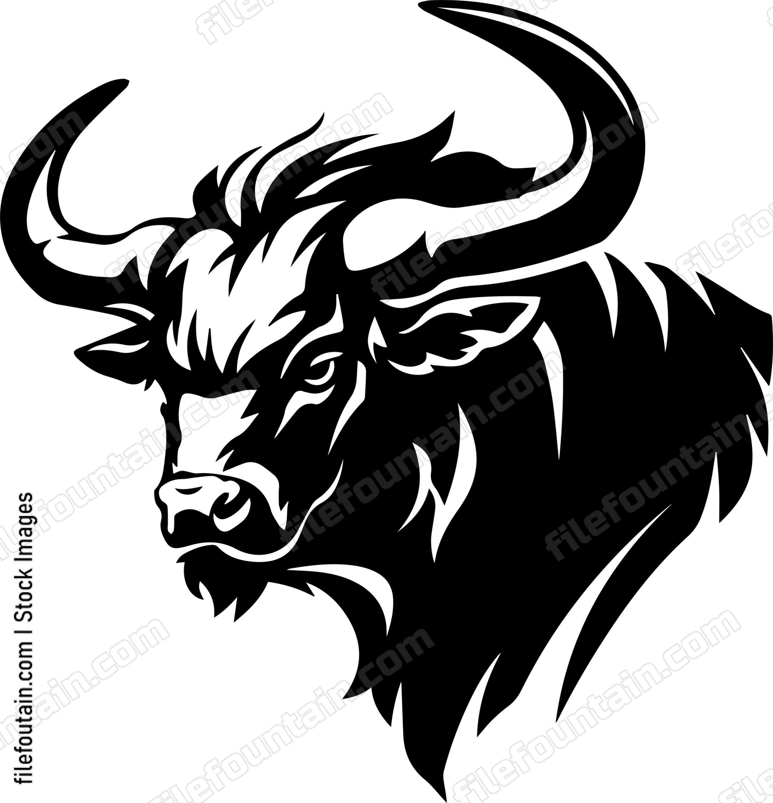 Bison