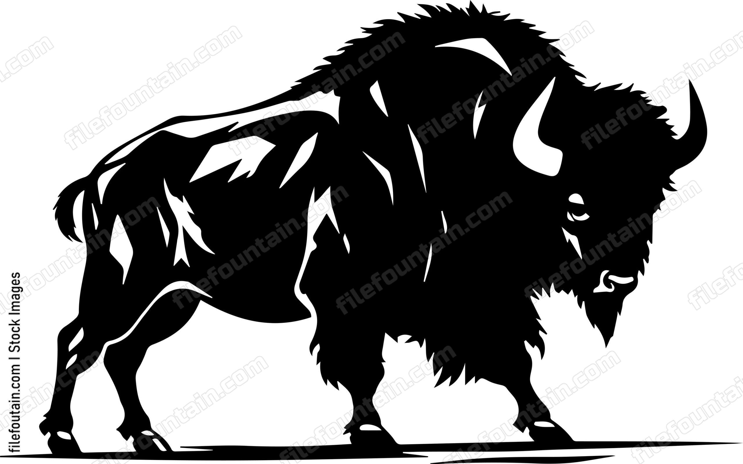 Bison