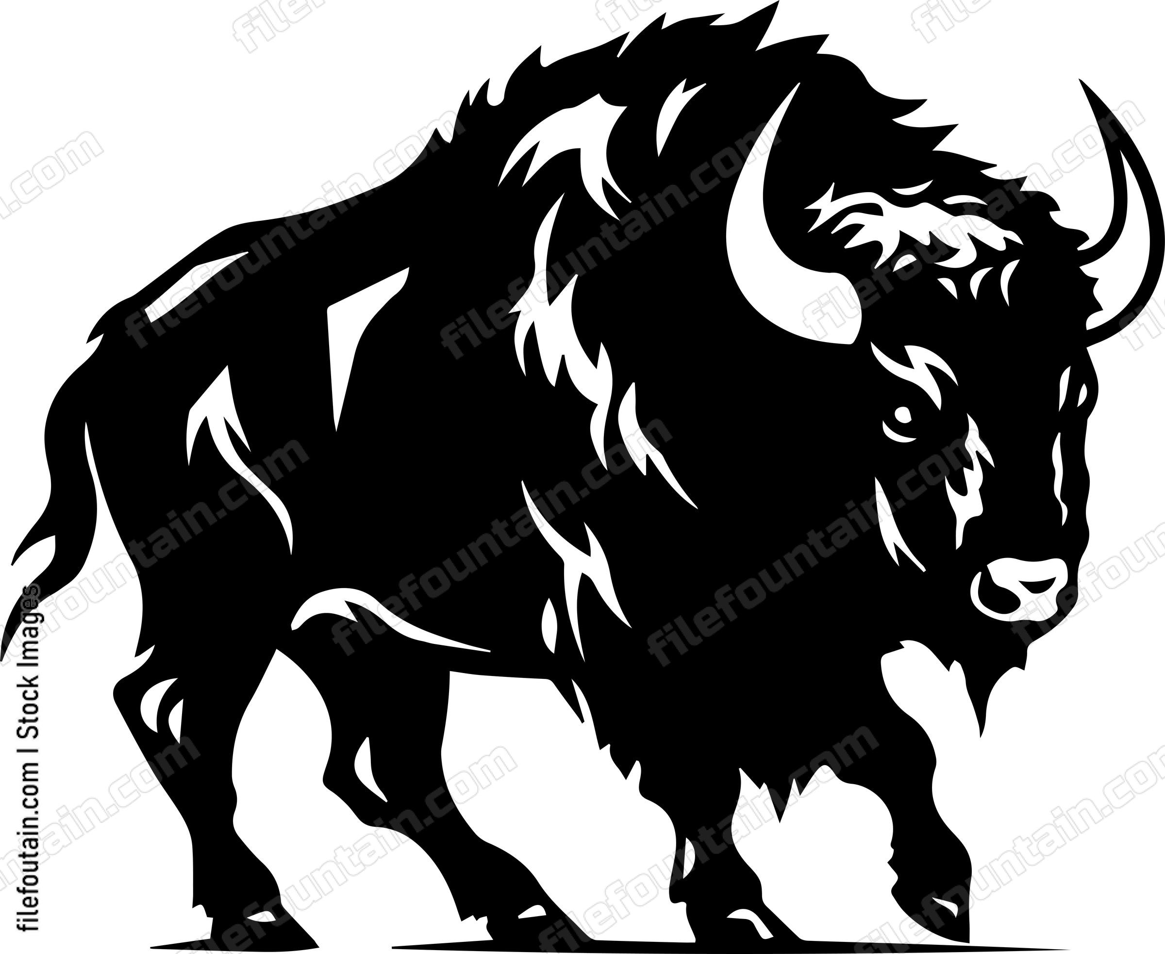 Bison