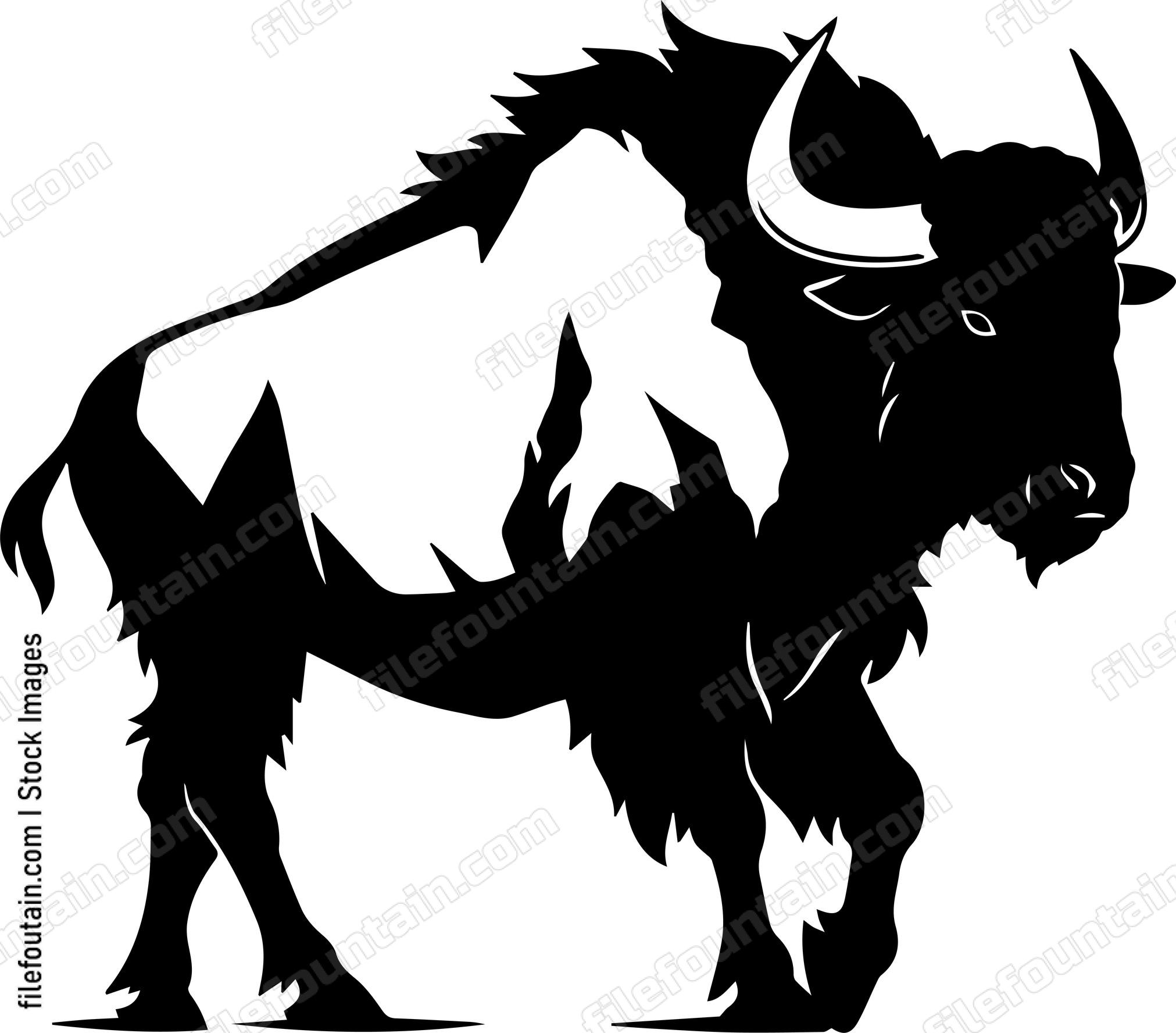 Bison