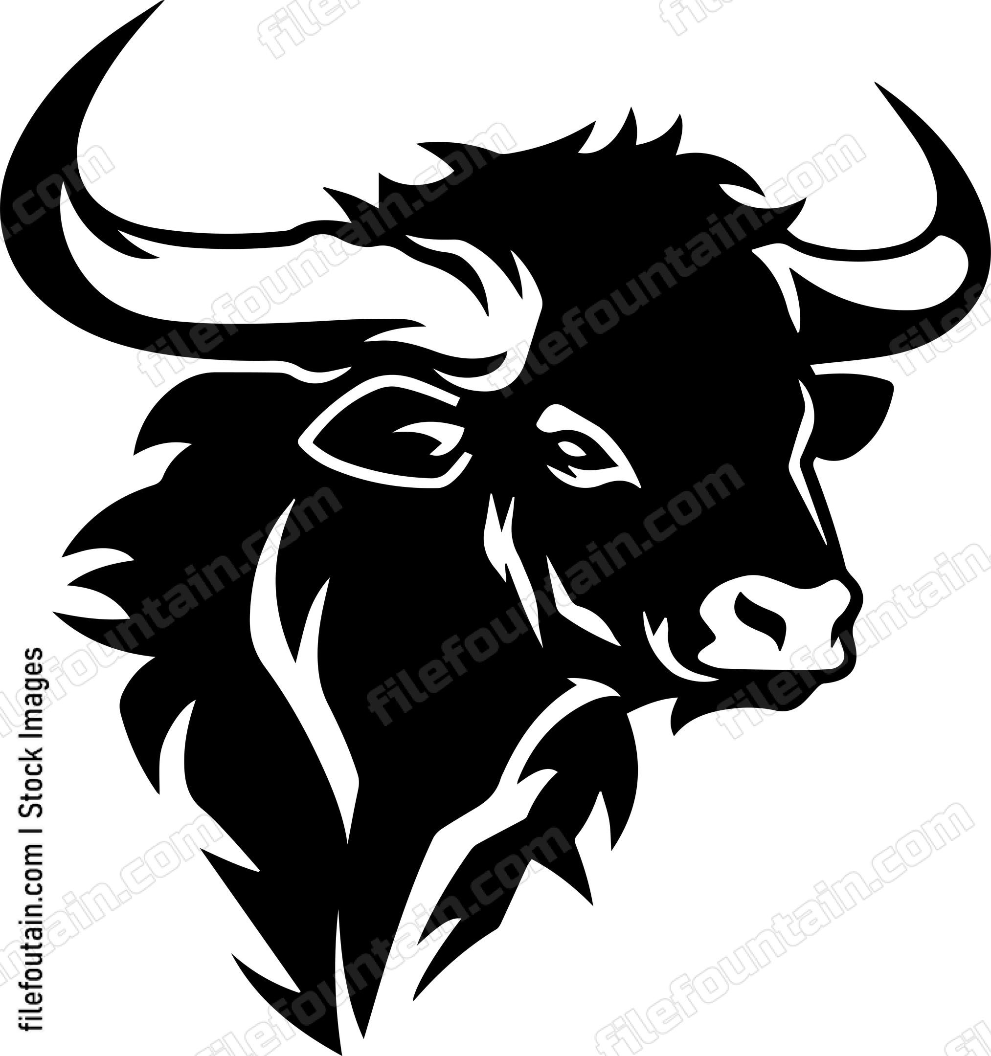 Bison