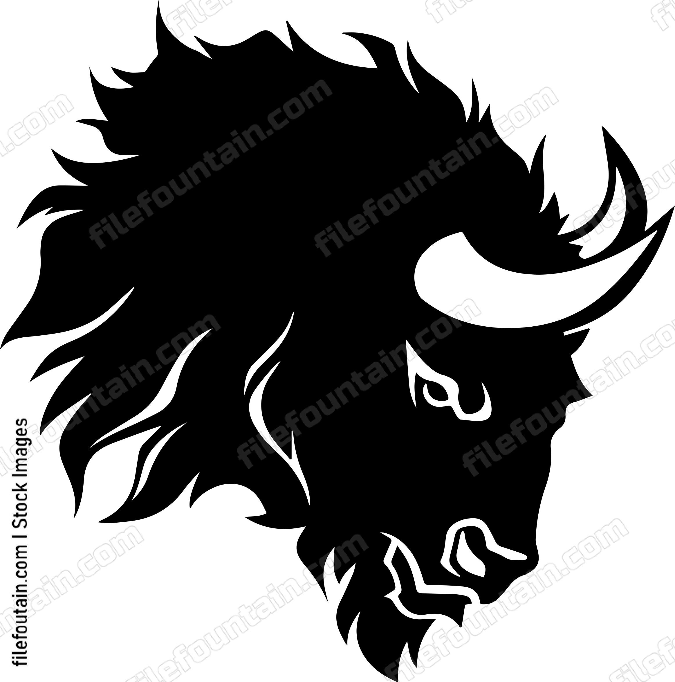 Bison