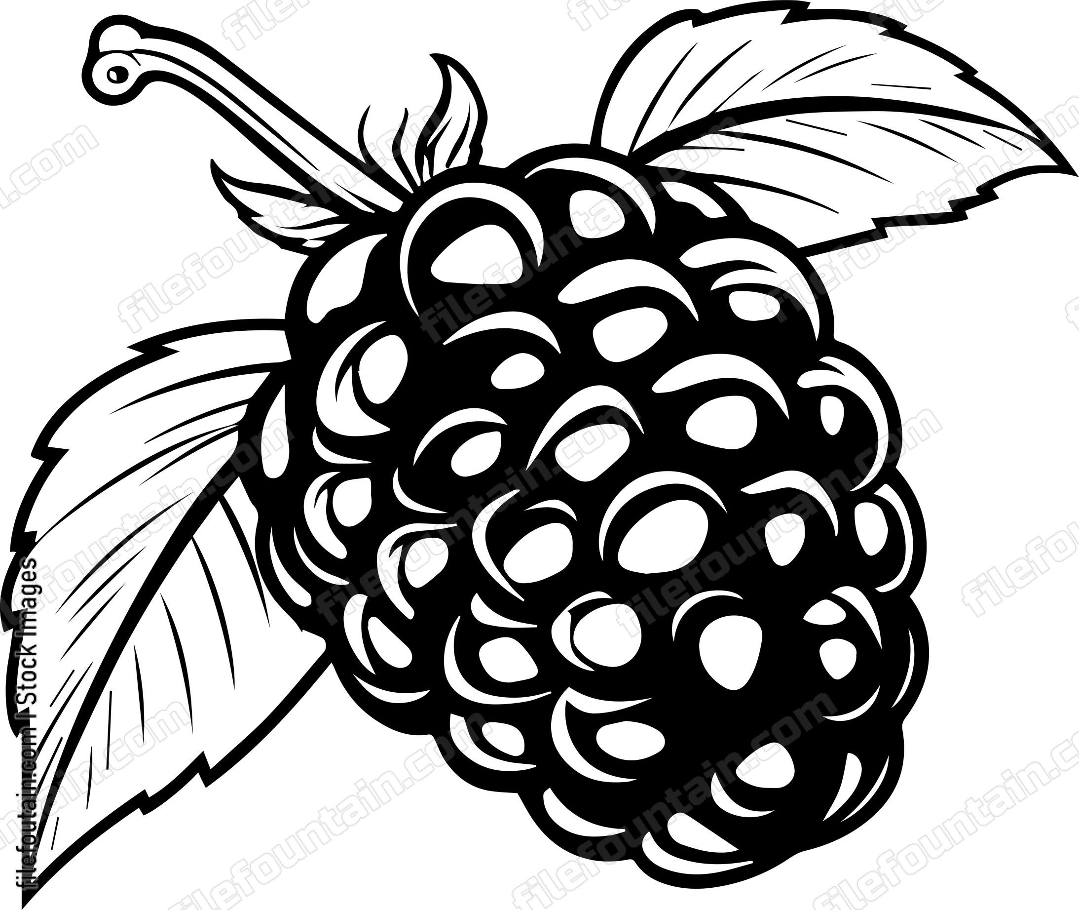 Blackberry