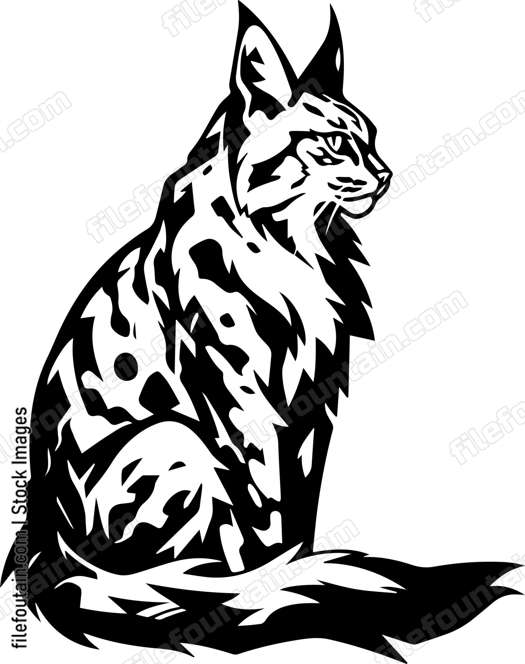 Bobcat