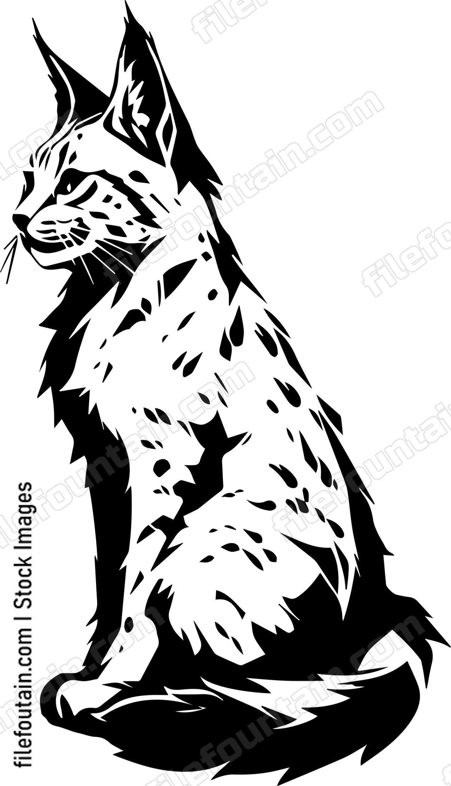 Bobcat