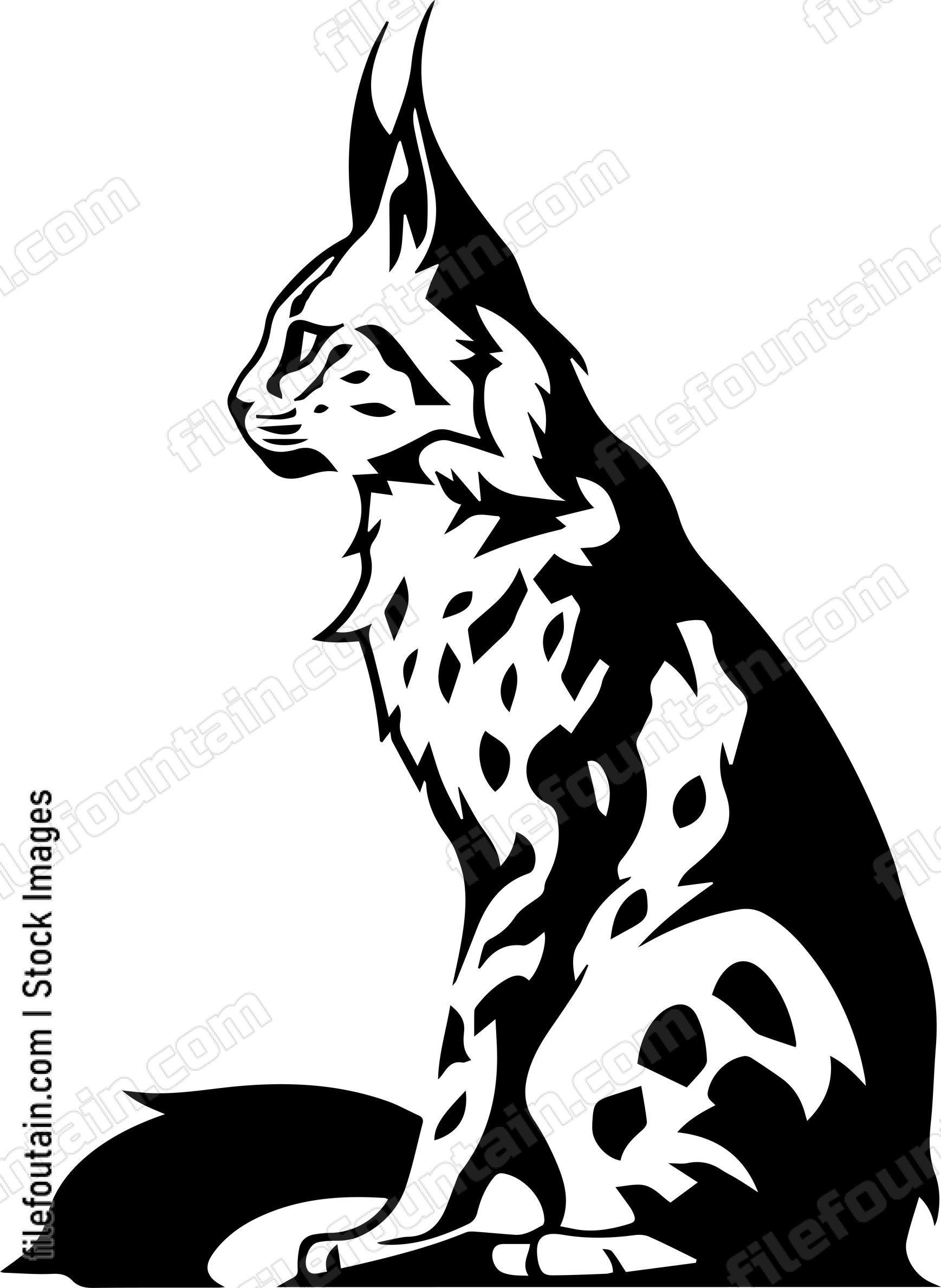 Bobcat