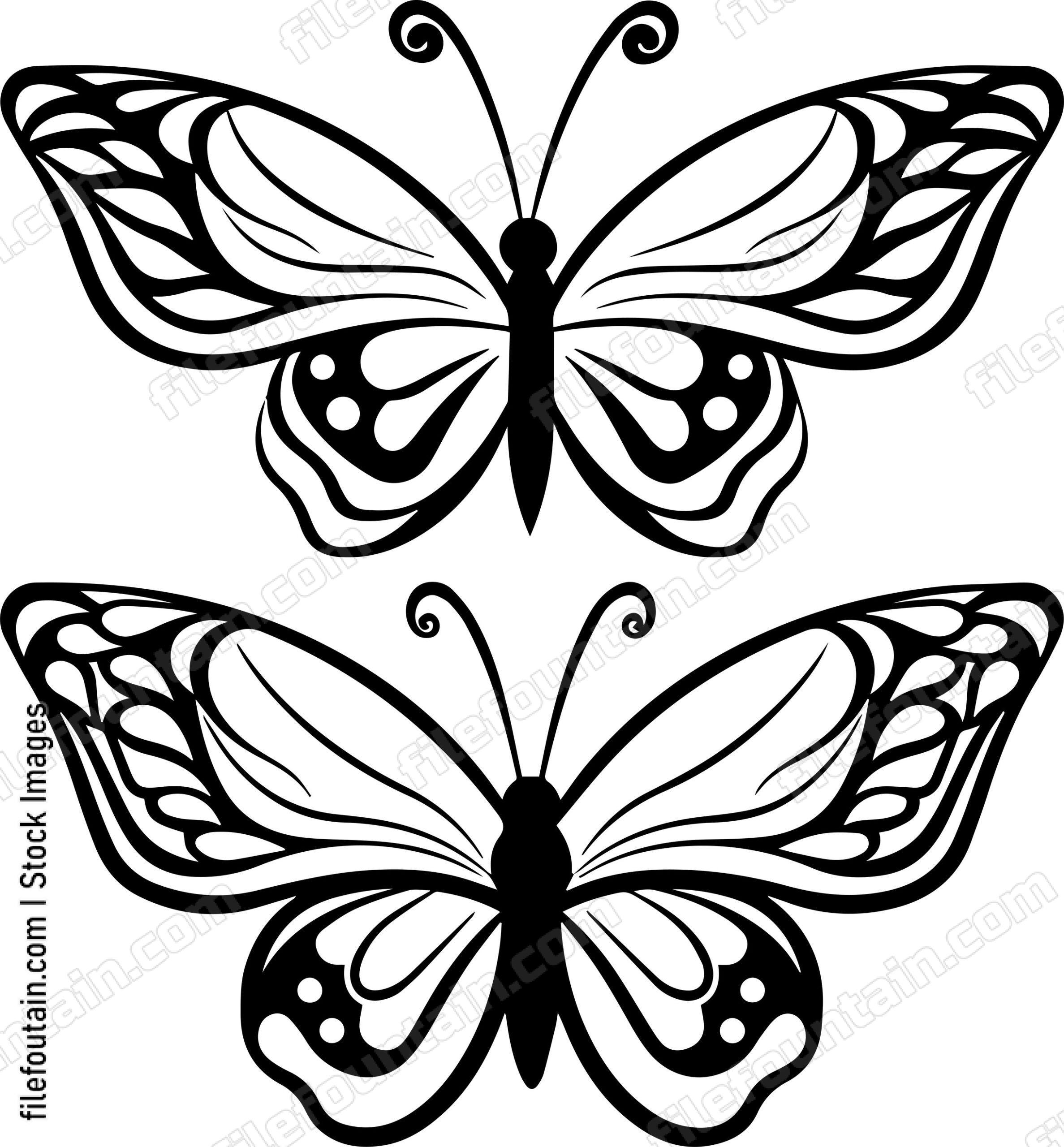 butterflies