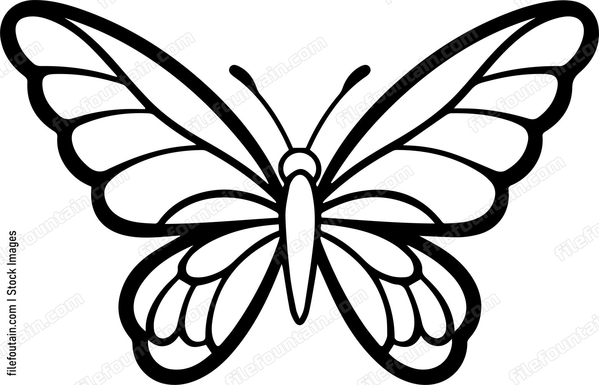 butterfly Flying