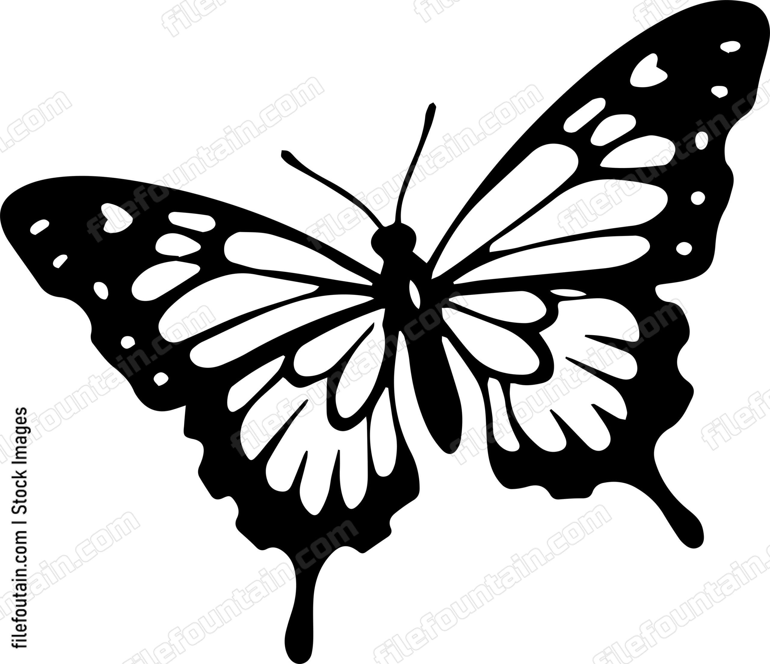 butterfly Flying
