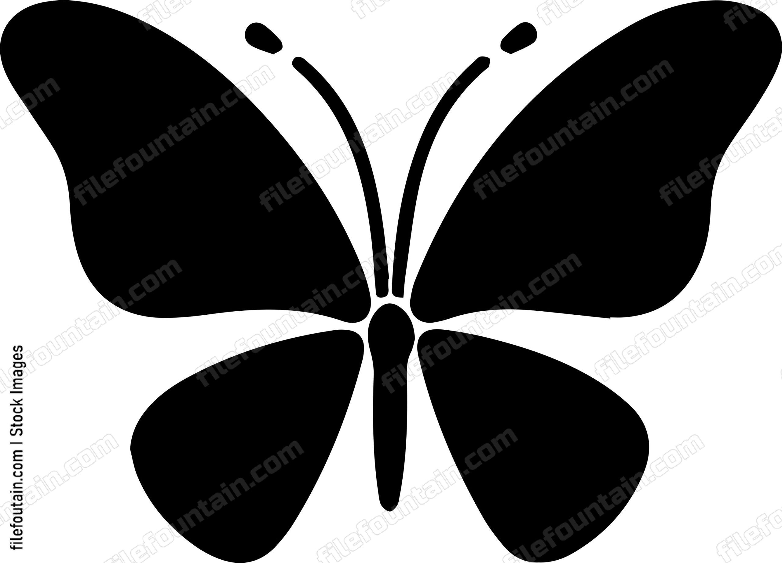 butterfly Flying