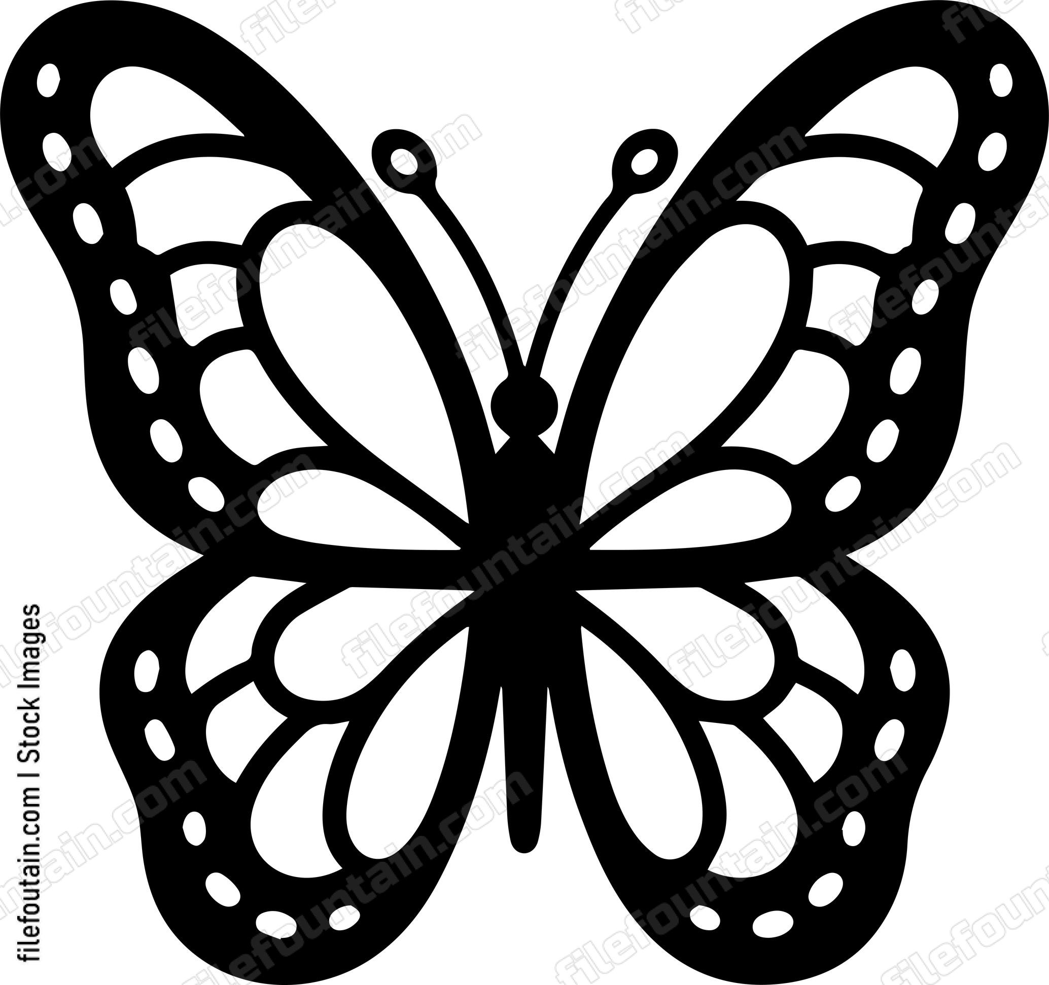 butterfly Flying