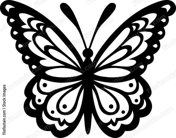 butterfly Flying